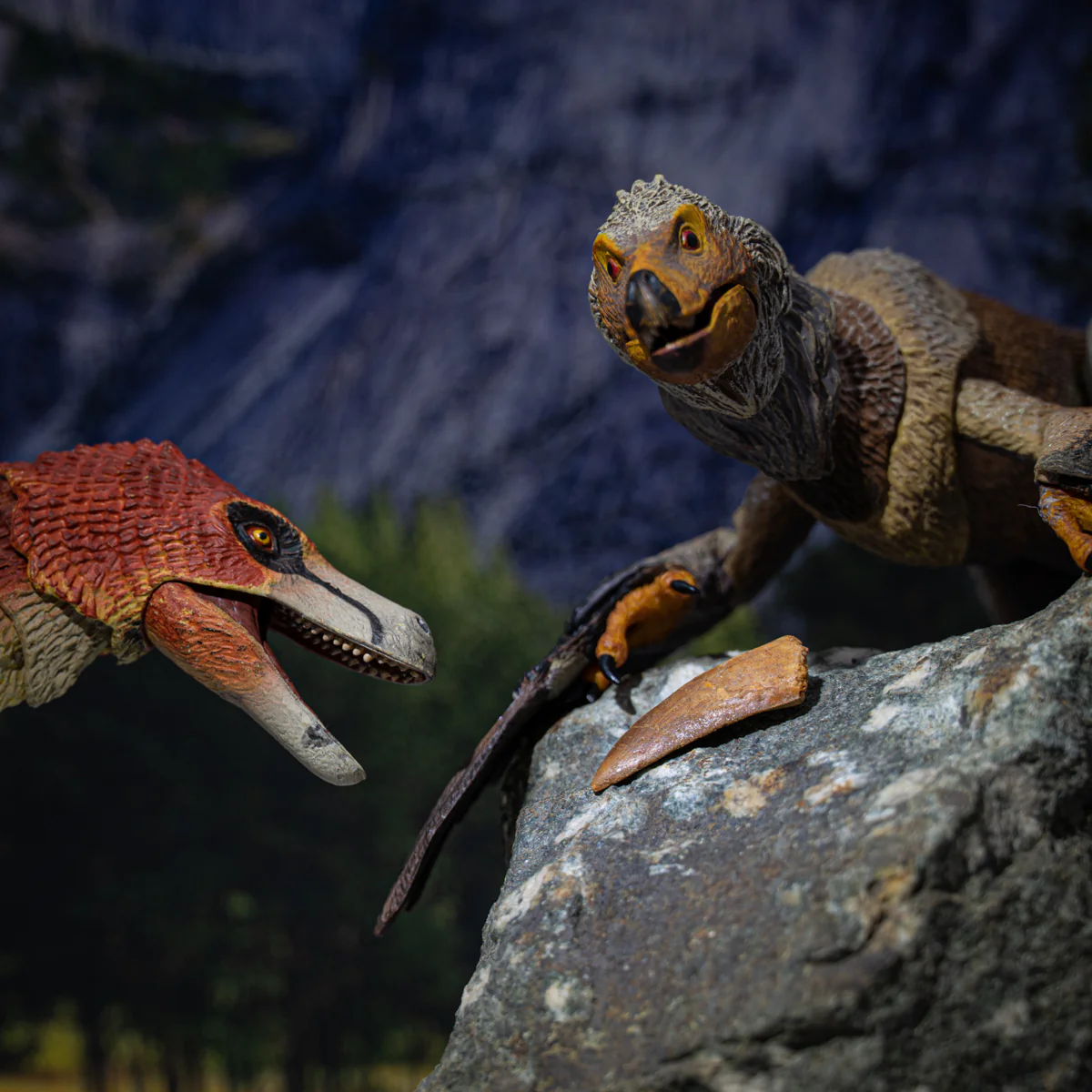 Raptor Tooth - Image 5