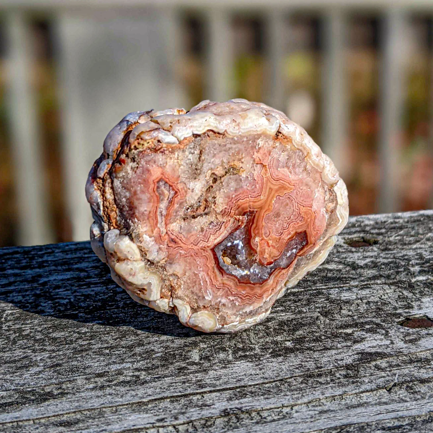 Rare, Gem-Quality Fairburn Agate - SOLD 2.50" Nodule - Image 2