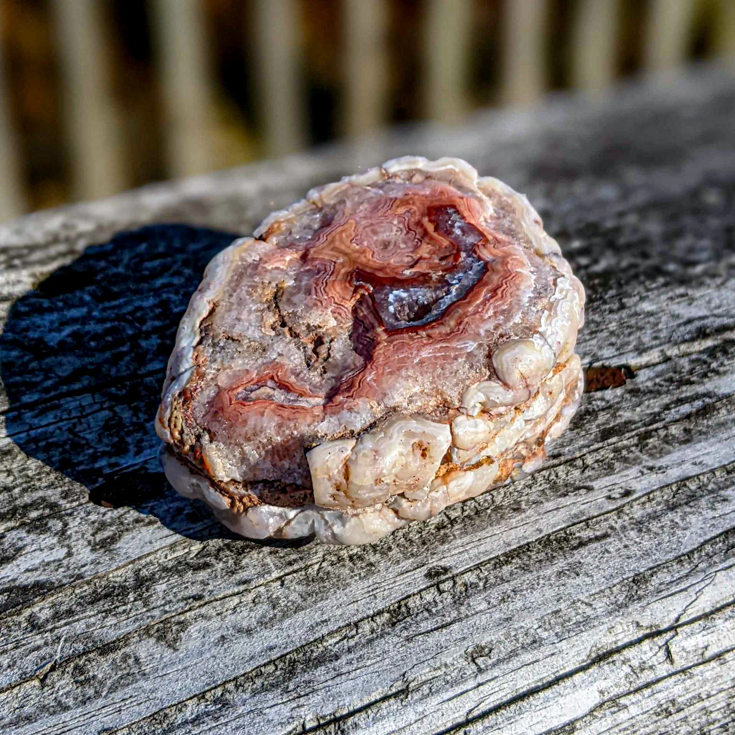 Rare, Gem-Quality Fairburn Agate - SOLD 2.50" Nodule - Image 6