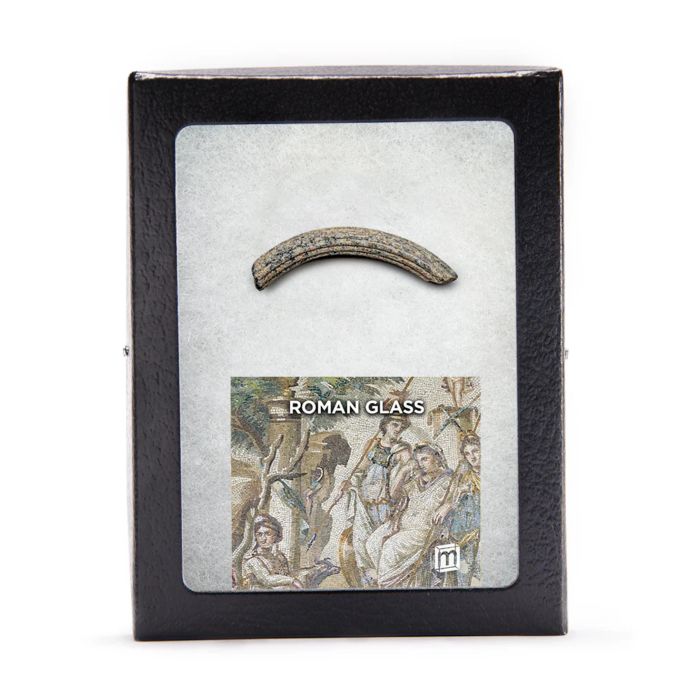 Roman Glass Bracelet Fragment - Classic Riker Display Case - Image 6