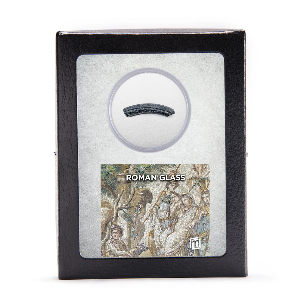 Roman Glass Bracelet Fragment - Classic Riker Display Case - Image 7
