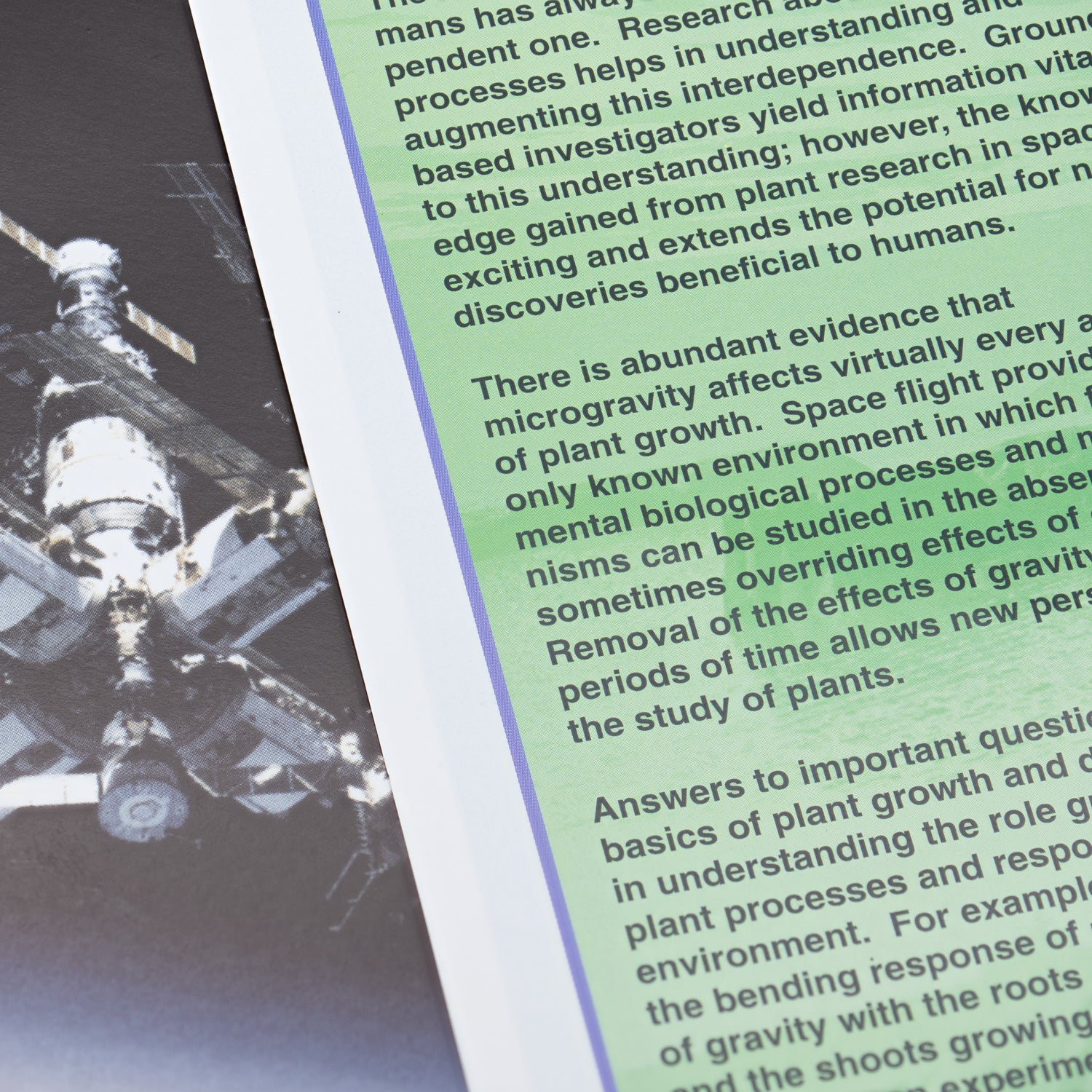 SEEDS II - NASA Space Exposed Seeds and Educational Kit - Image 6