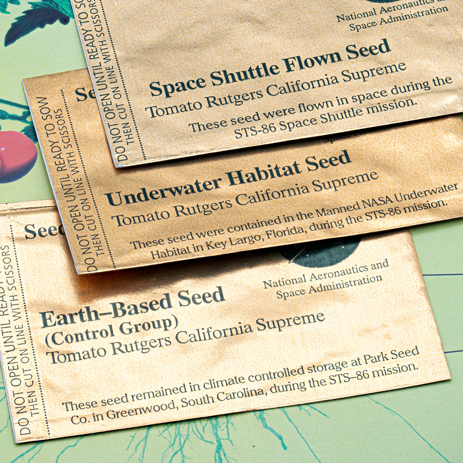 SEEDS II - NASA Space Exposed Seeds and Educational Kit - Image 7