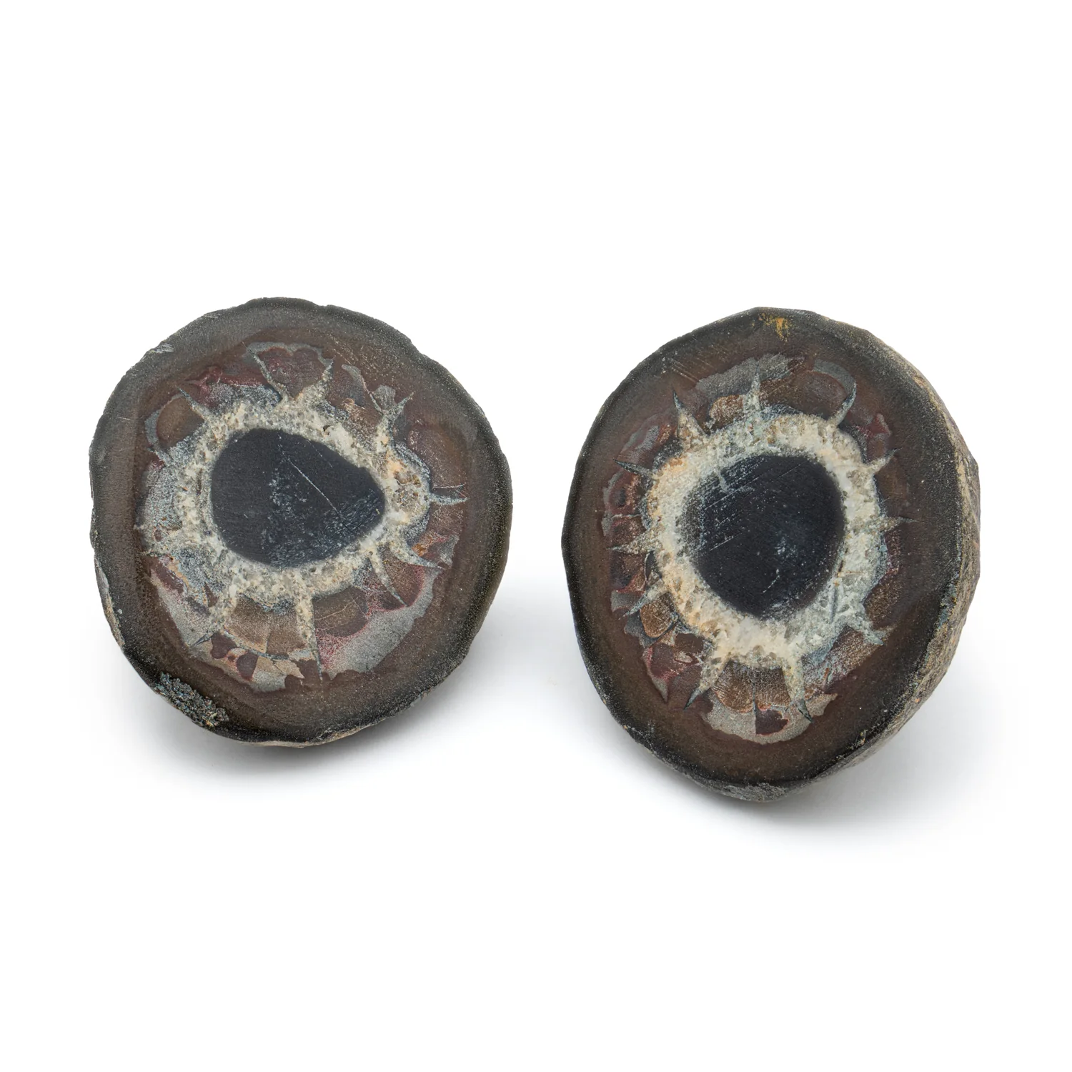 Septarian Nodules - Image 10