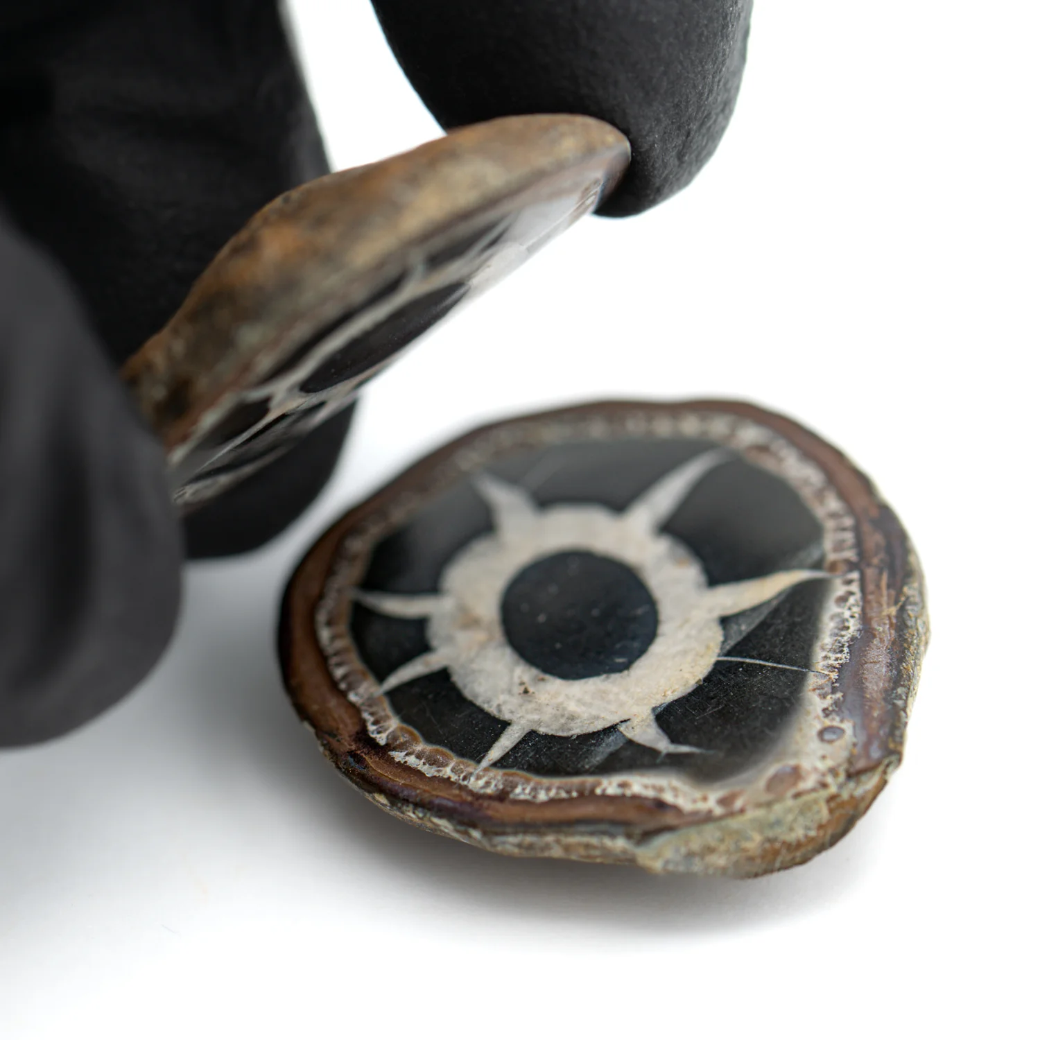 Septarian Nodules - Image 2