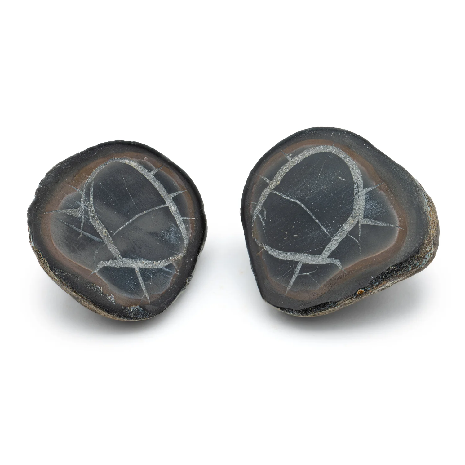 Septarian Nodules - Image 4