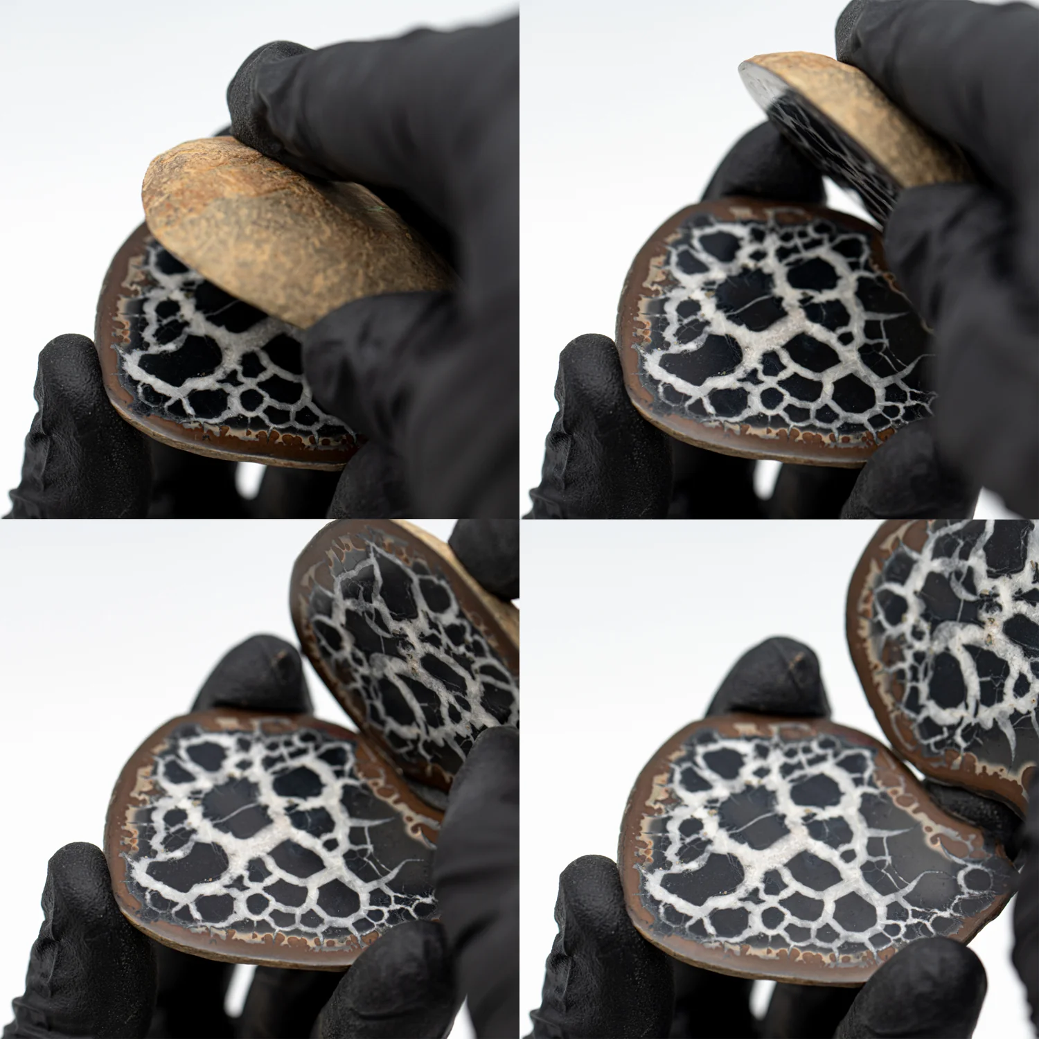 Septarian Nodules - Image 5