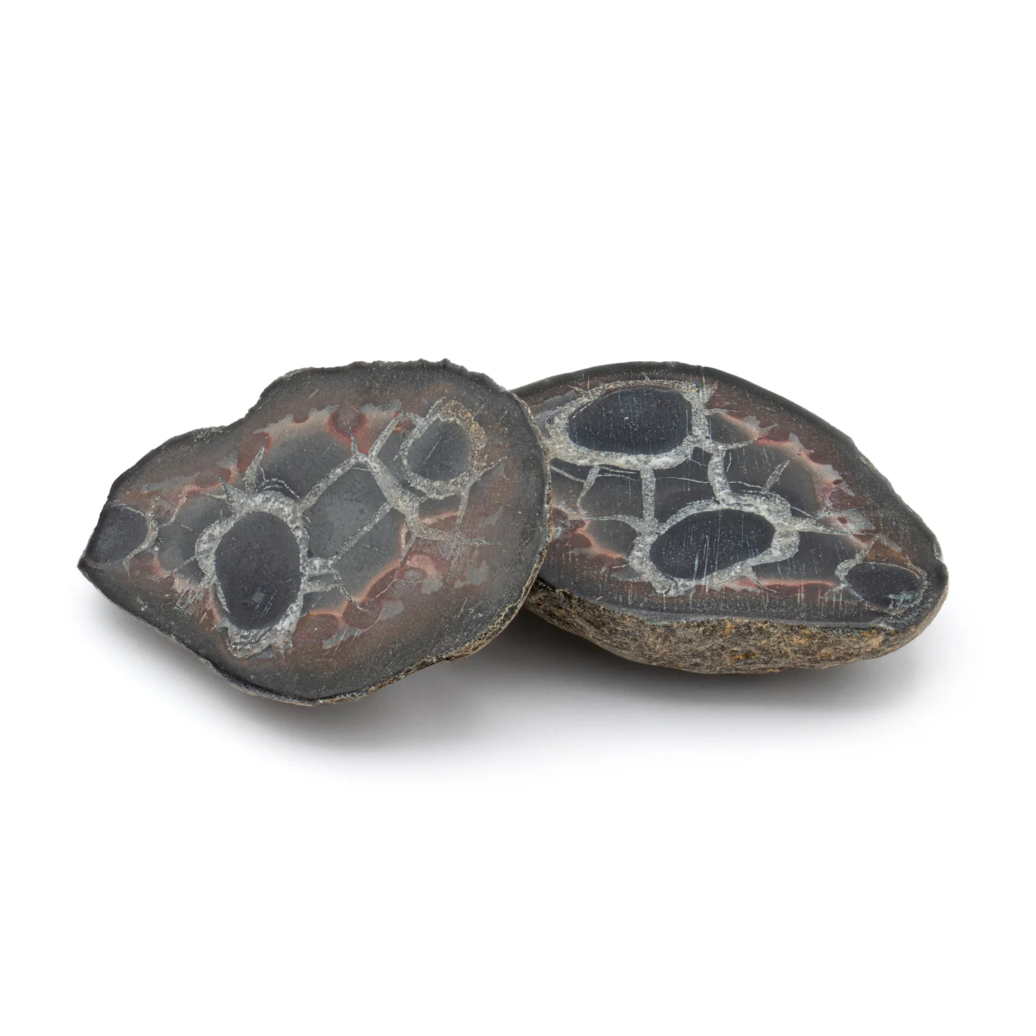 Septarian Nodules - Image 9