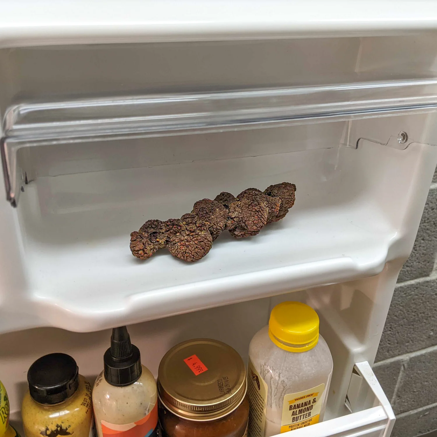 Sideritic "Coprolite" - Image 2