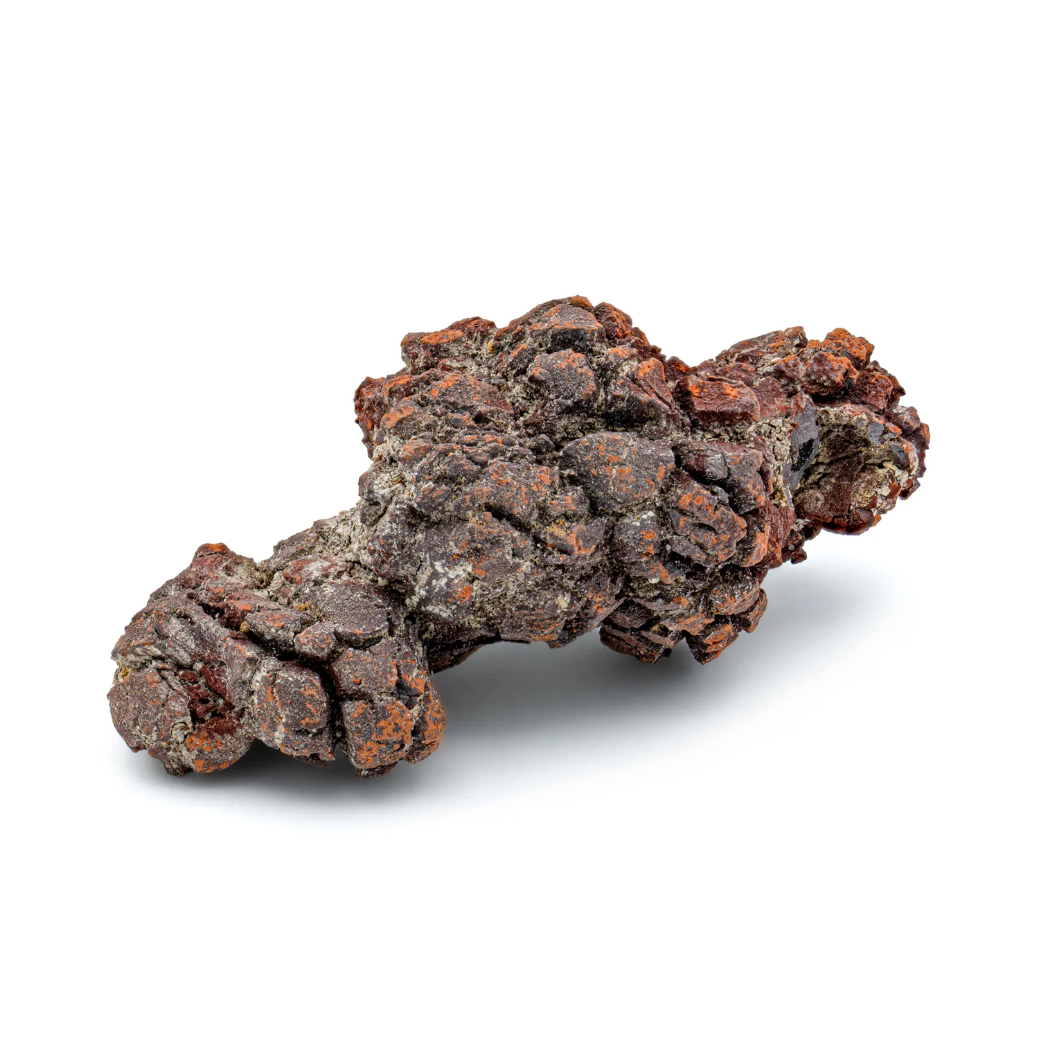Sideritic "Coprolite" - Image 3