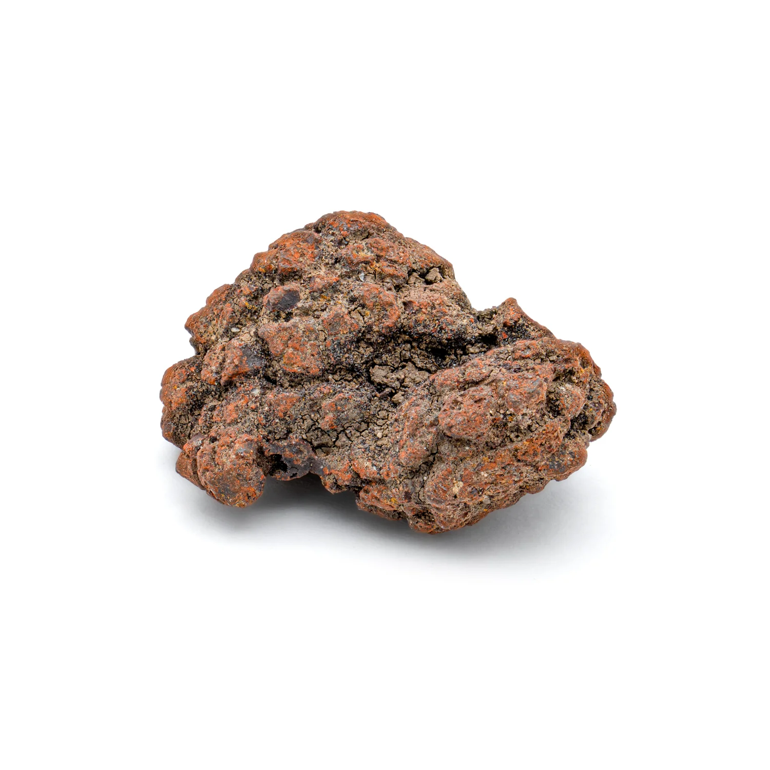 Sideritic "Coprolite" - Image 4