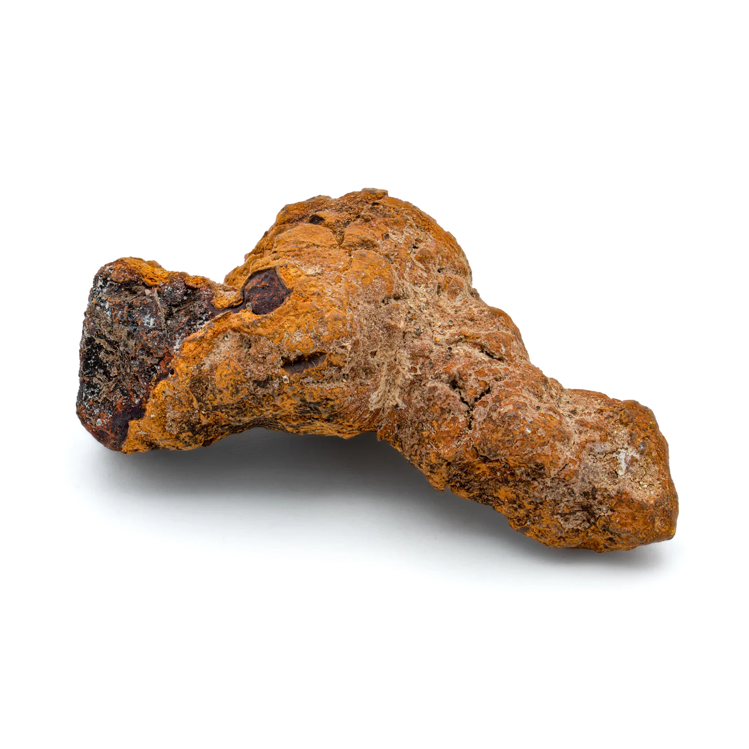 Sideritic "Coprolite" - Image 5