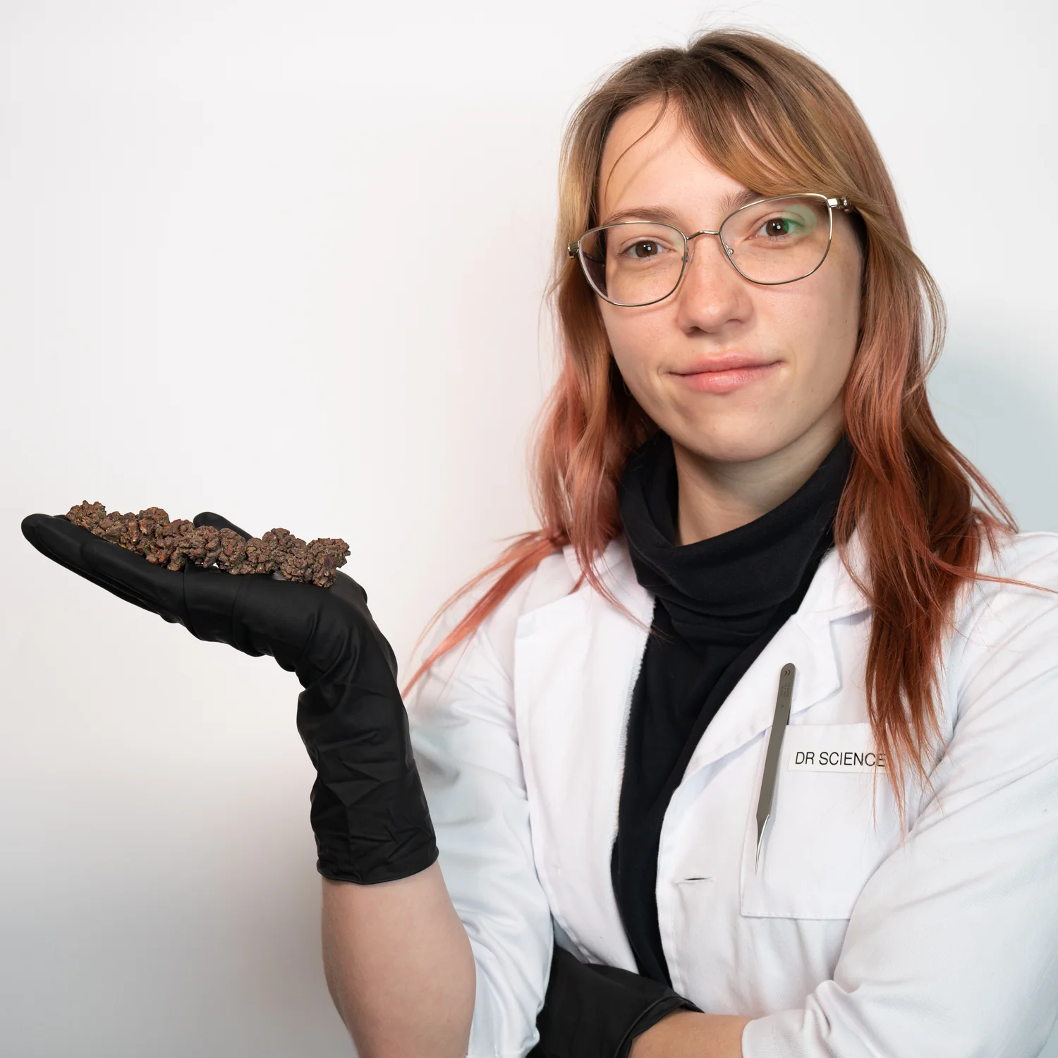 Sideritic "Coprolite" - Image 6