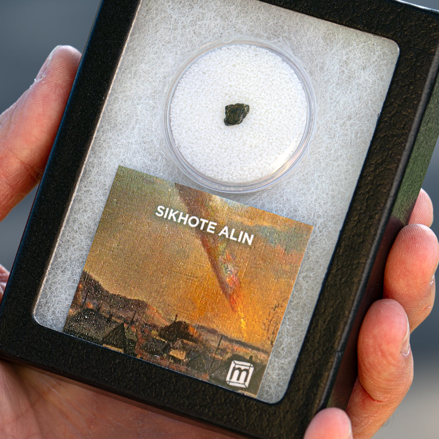 Sikhote Alin Meteorite - Image 2