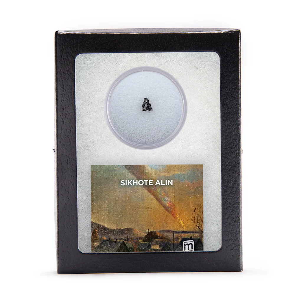 Sikhote Alin Meteorite - Image 5