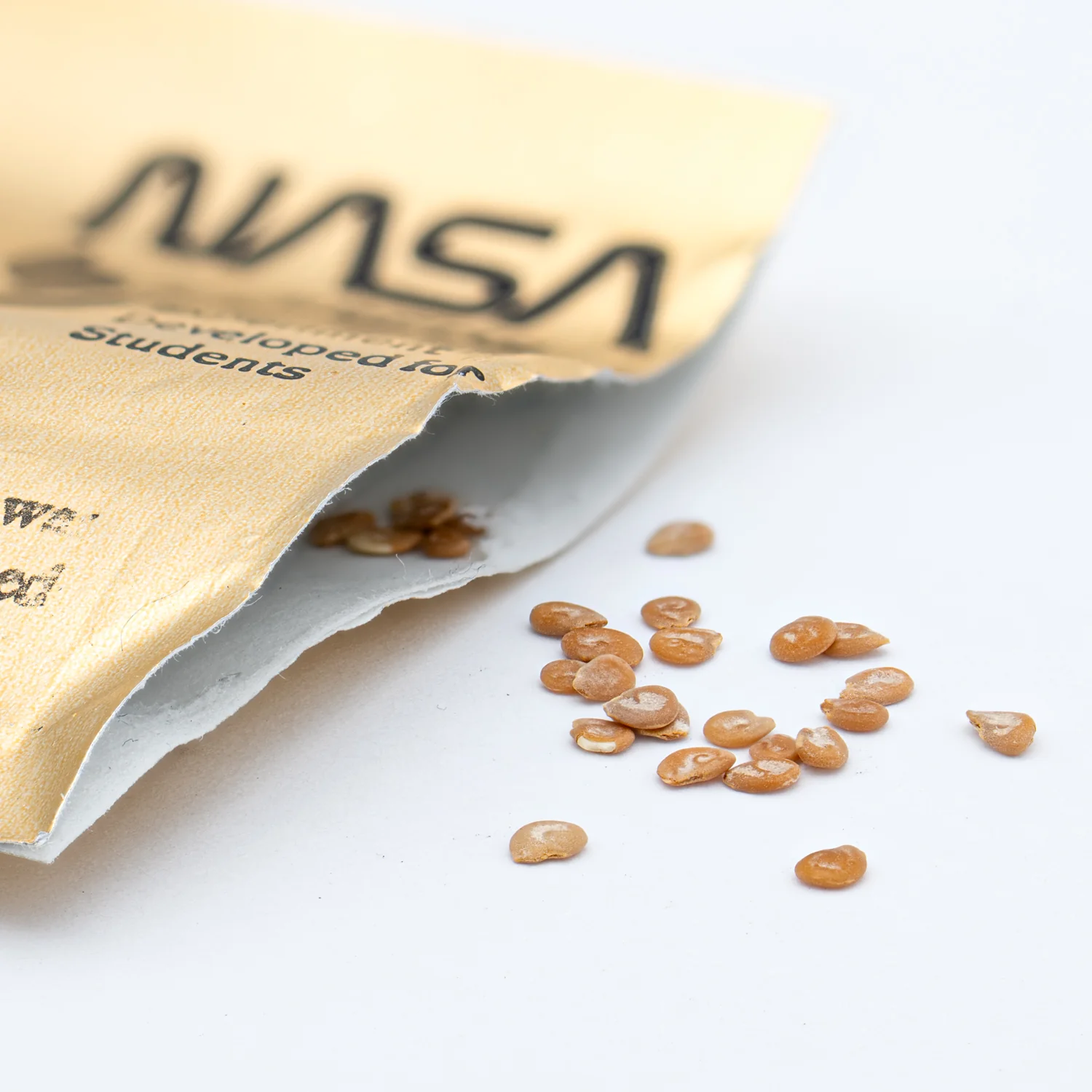 Space Exposed Tomato Seeds - Image 3