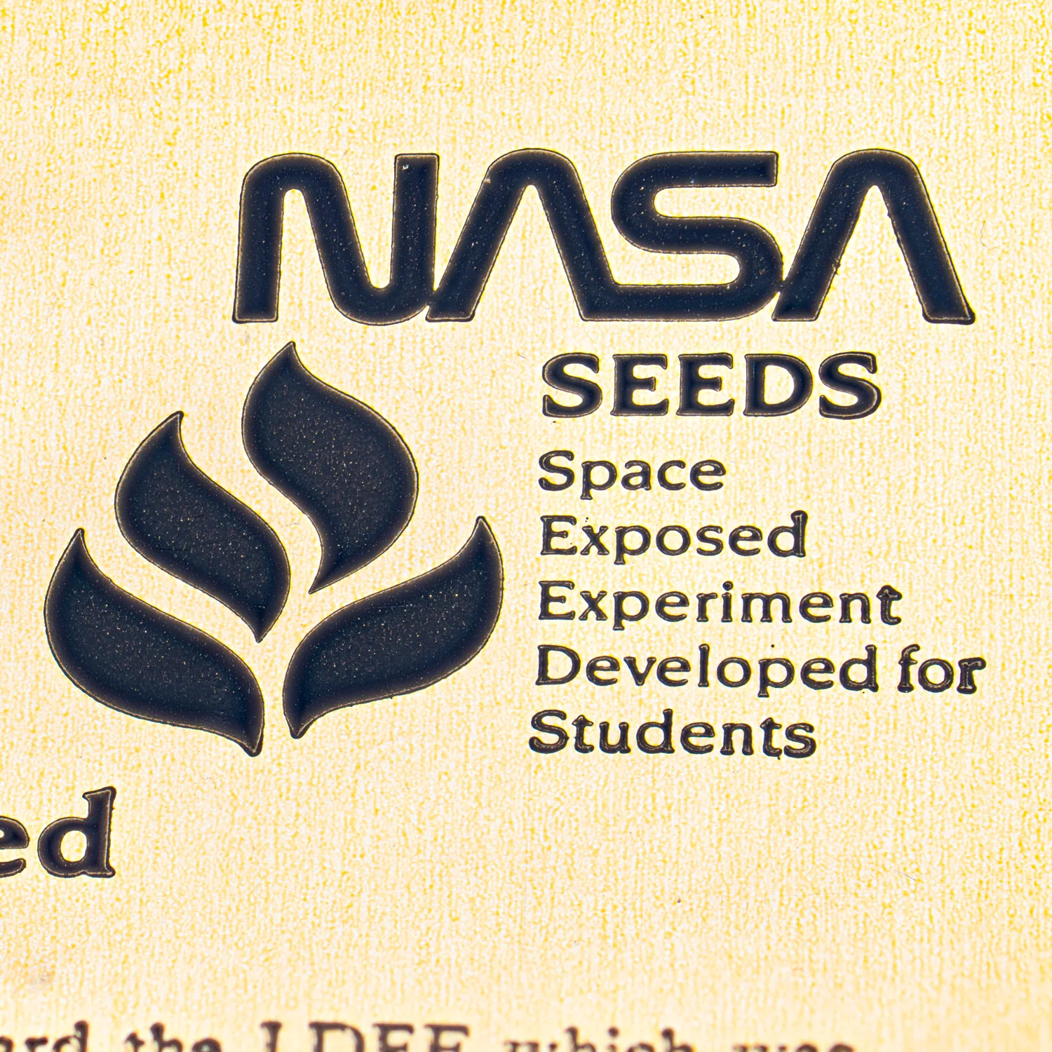 Space Exposed Tomato Seeds - Image 9