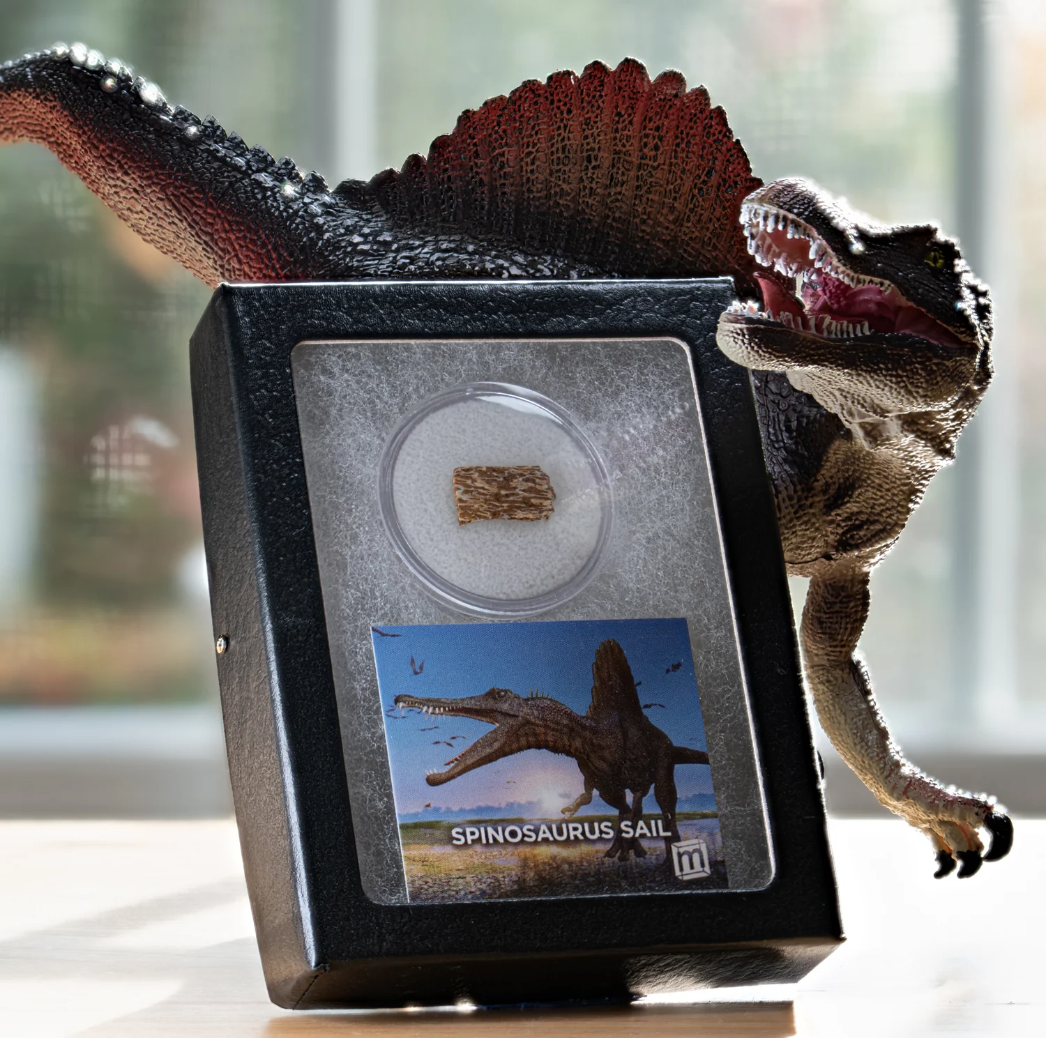 Spinosaurus Sail - Image 3