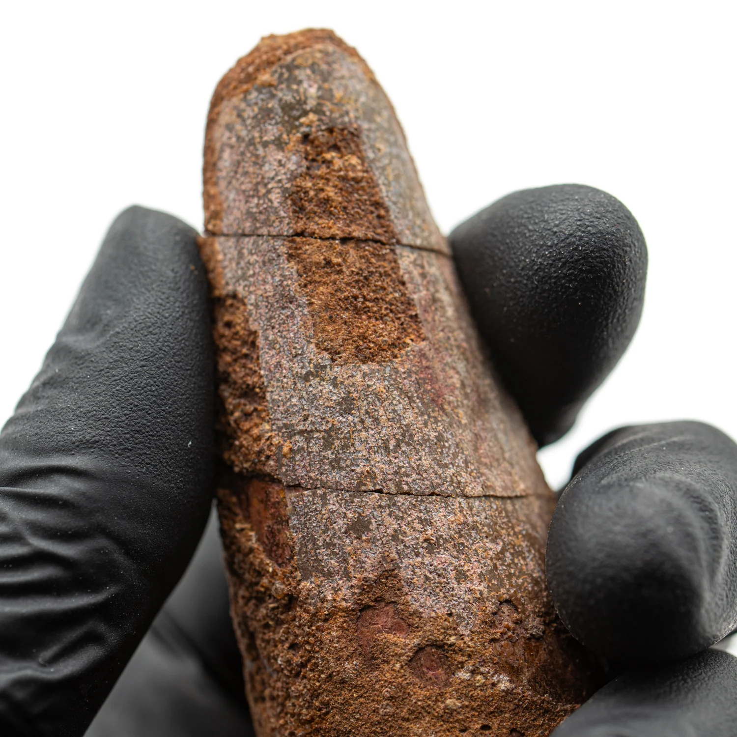 Spinosaurus Tooth - 3.244" Natural Wear Fossil - Image 2