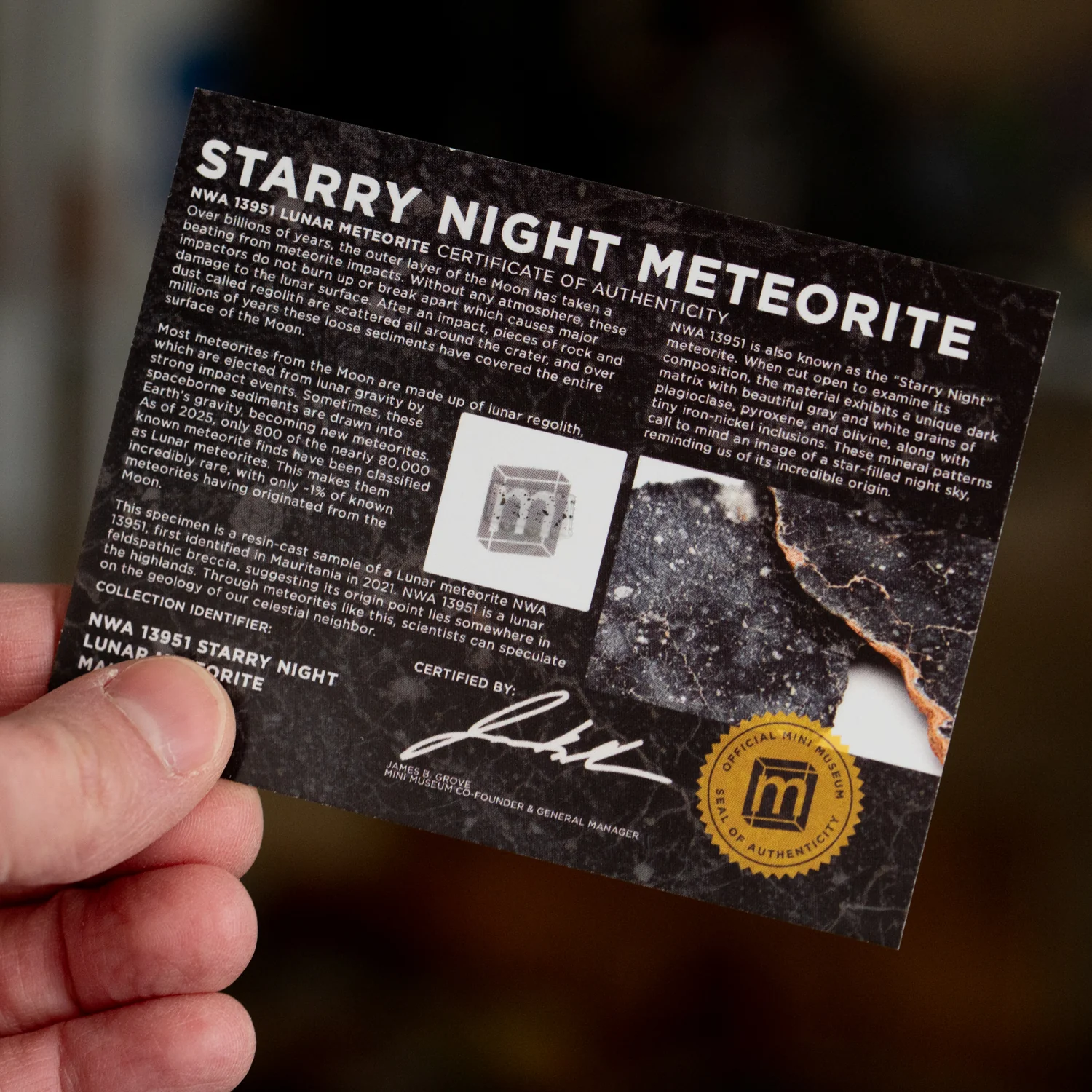 Starry Night Lunar Meteorite NWA 13951 - Display Card - Image 2