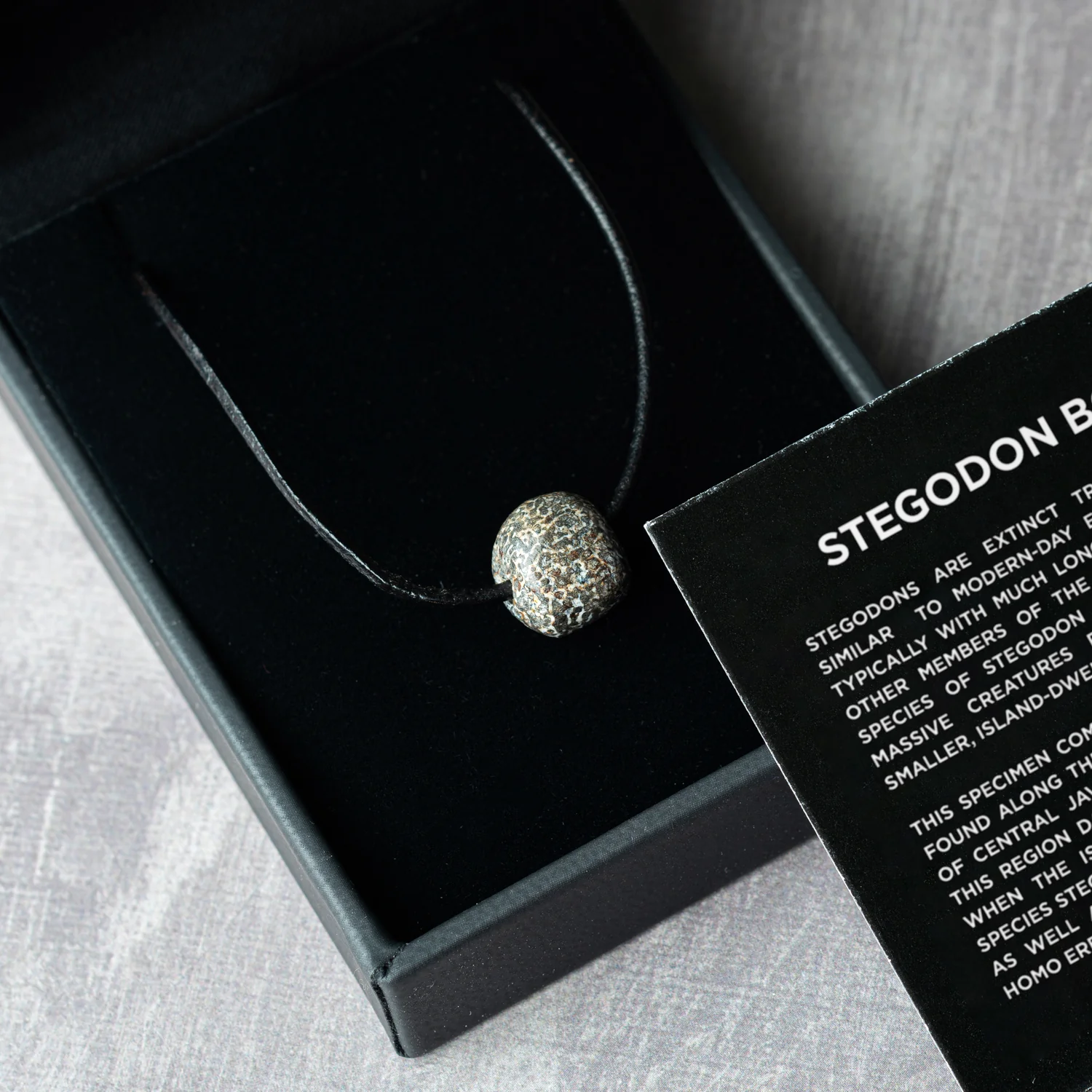 Stegodon Bone Necklace - Image 8