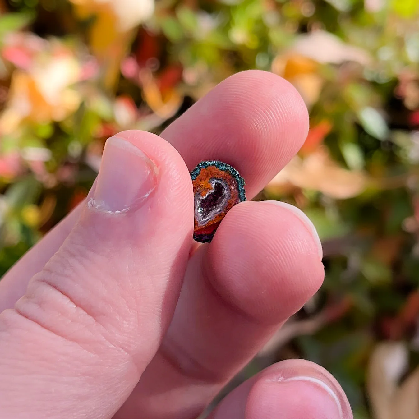Tabasco Geodes - Image 2