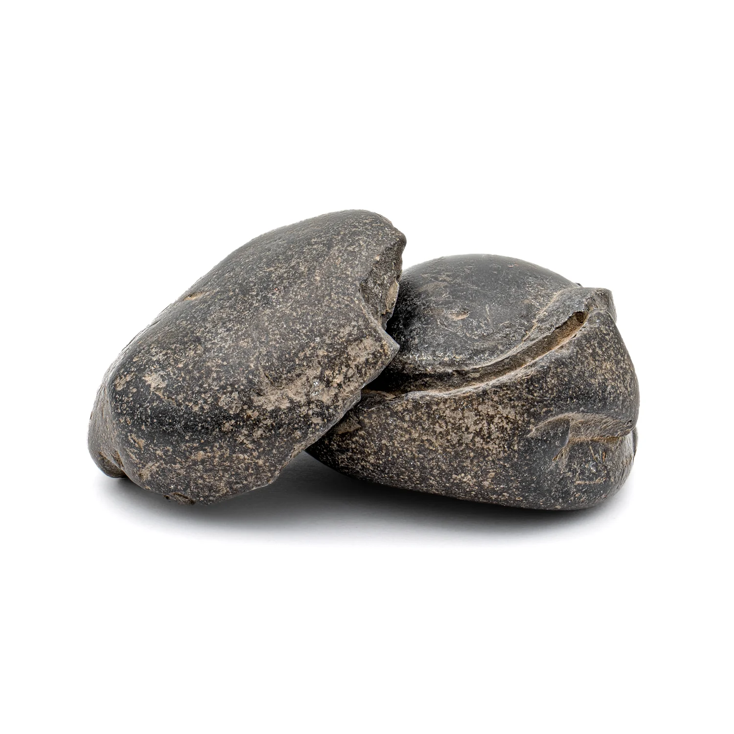 Tethys Ocean Shaligram Fossil - SOLD 1.74" Fossil Pair - Image 4