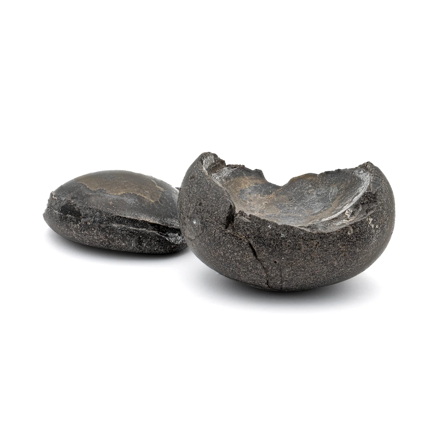 Tethys Ocean Shaligram Fossil - 2.52" Fossil Pair - Image 4