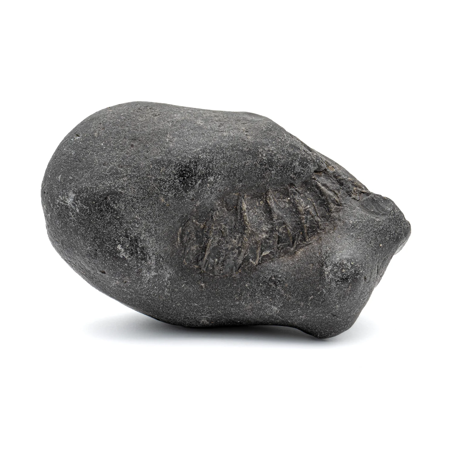 Tethys Ocean Shaligram Fossil - SOLD 3.90" Ammonite Shell - Image 3