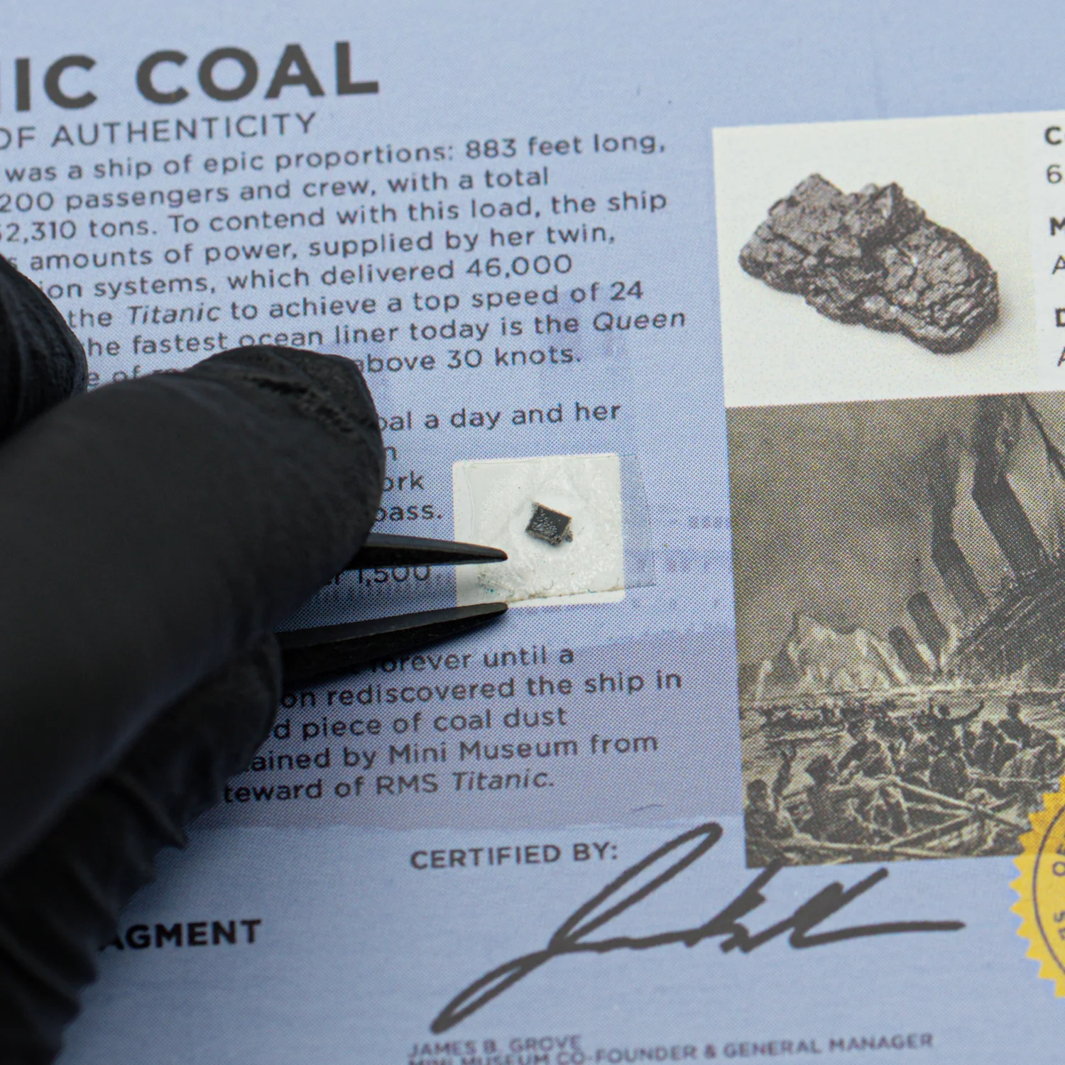 Titanic Coal - Display Card - Image 3