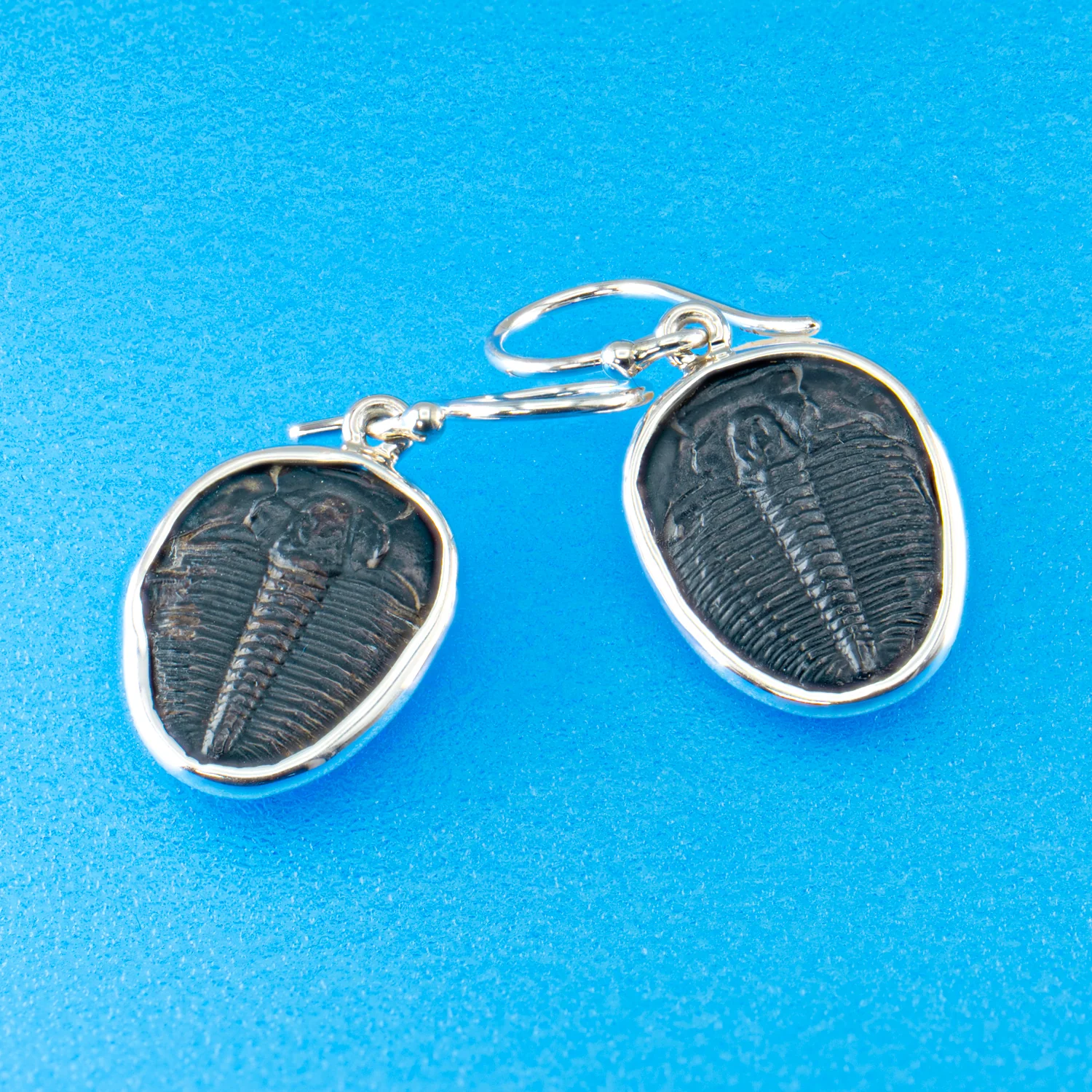Trilobite Jewelry - Image 10