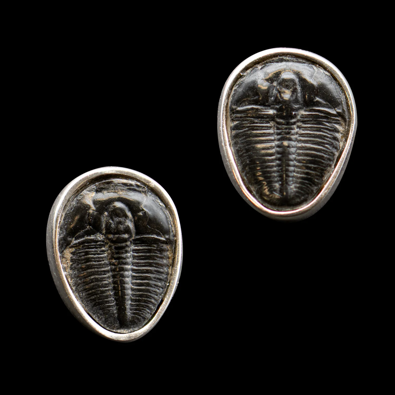 Trilobite Jewelry - Image 13