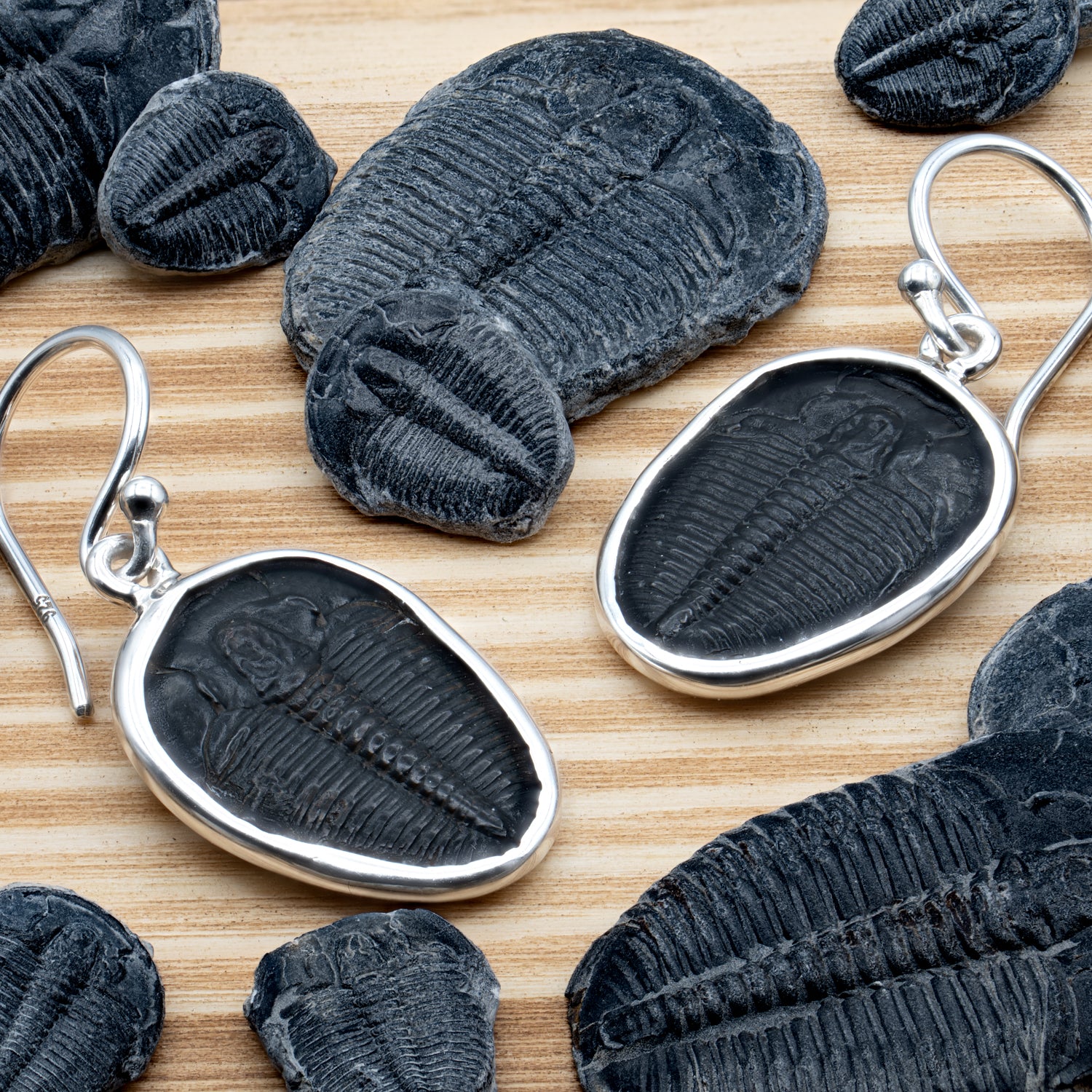 Trilobite Jewelry - Image 2