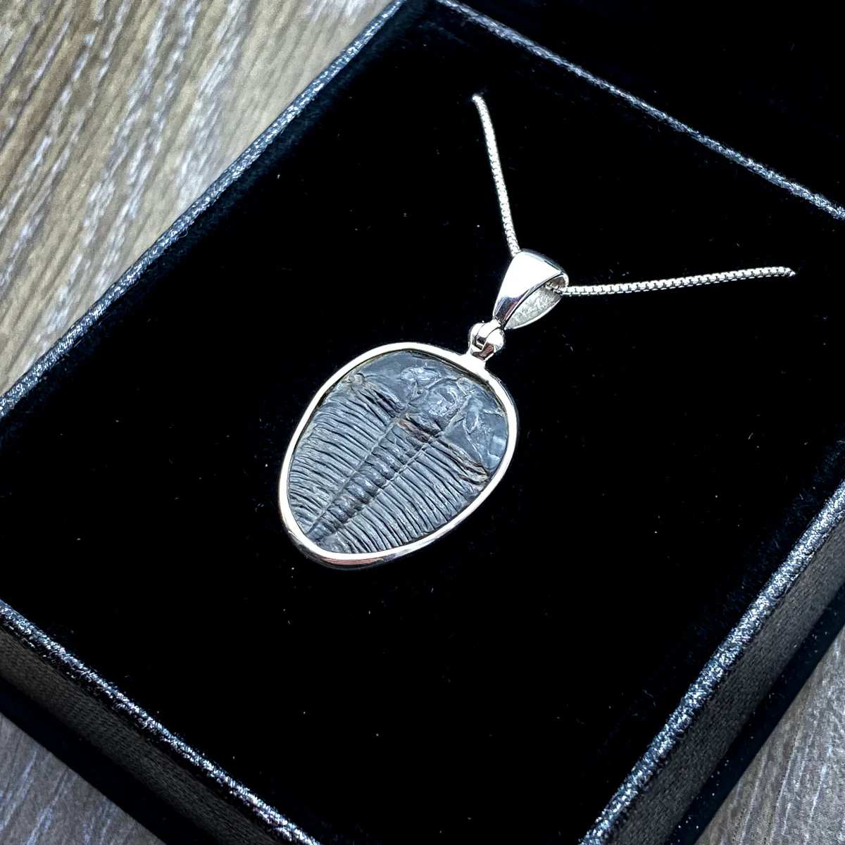 Trilobite Jewelry - Image 4