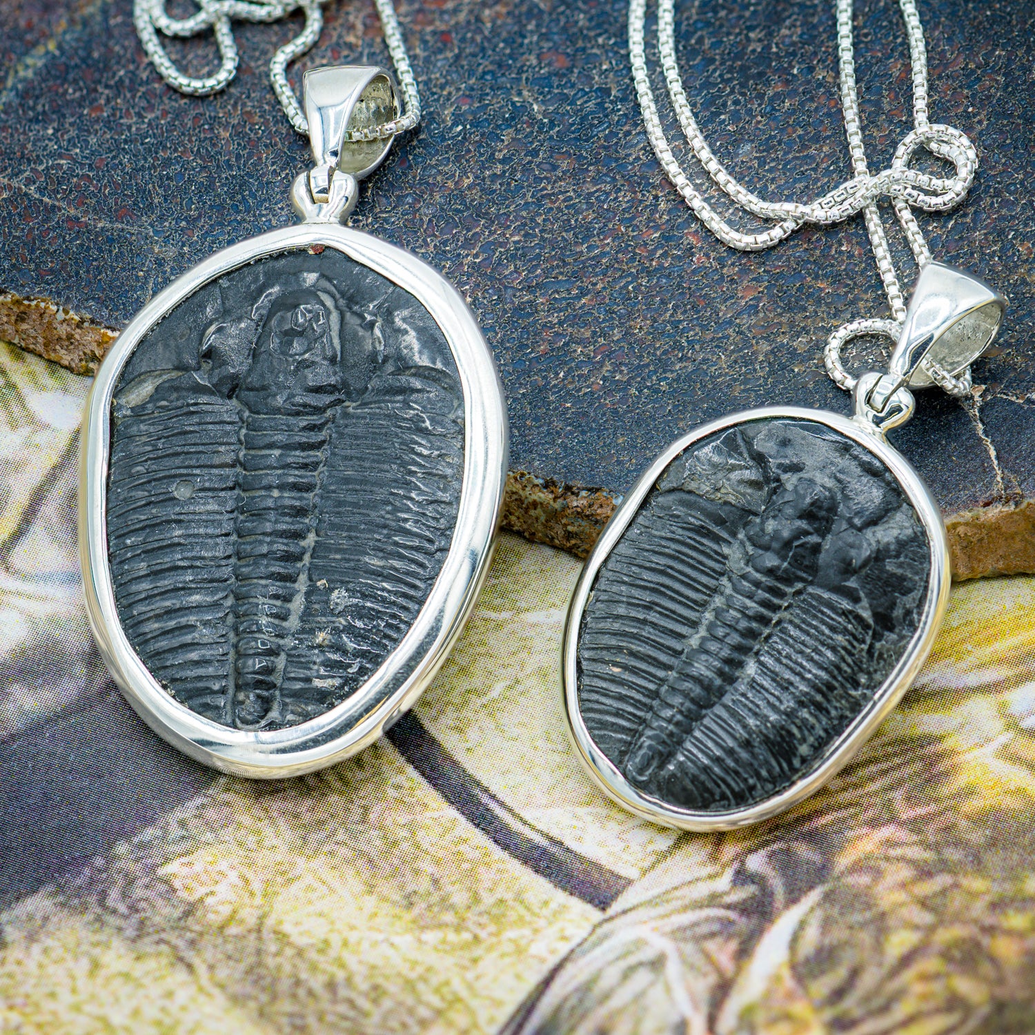 Trilobite Jewelry - Image 6