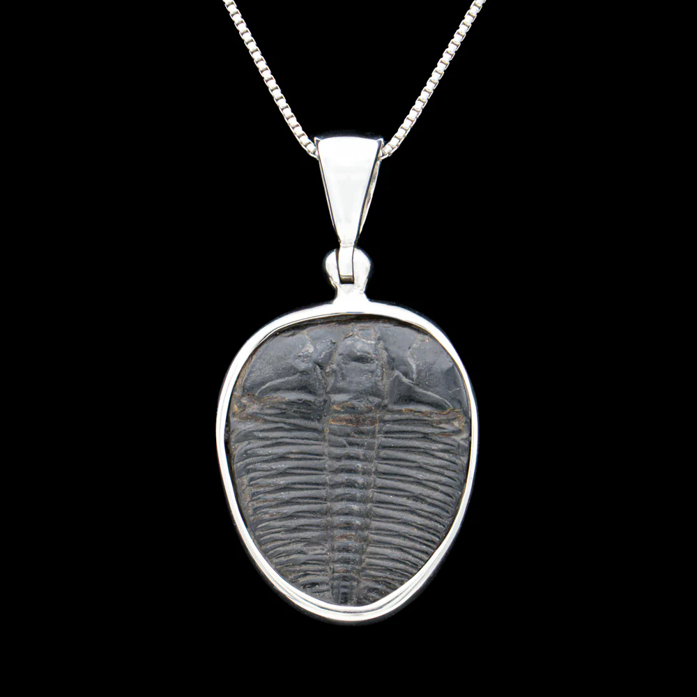 Trilobite Jewelry - Image 7