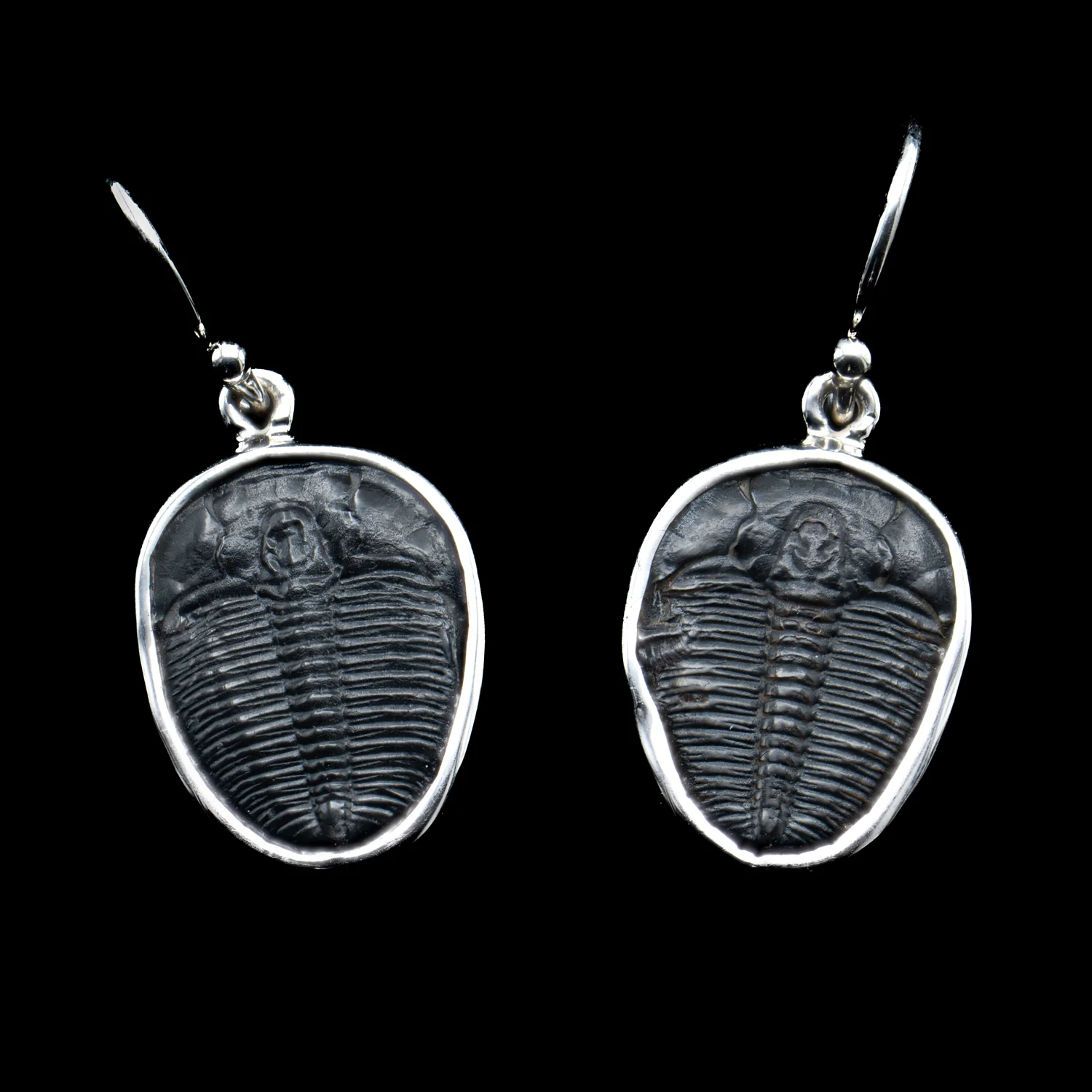 Trilobite Jewelry - Image 8