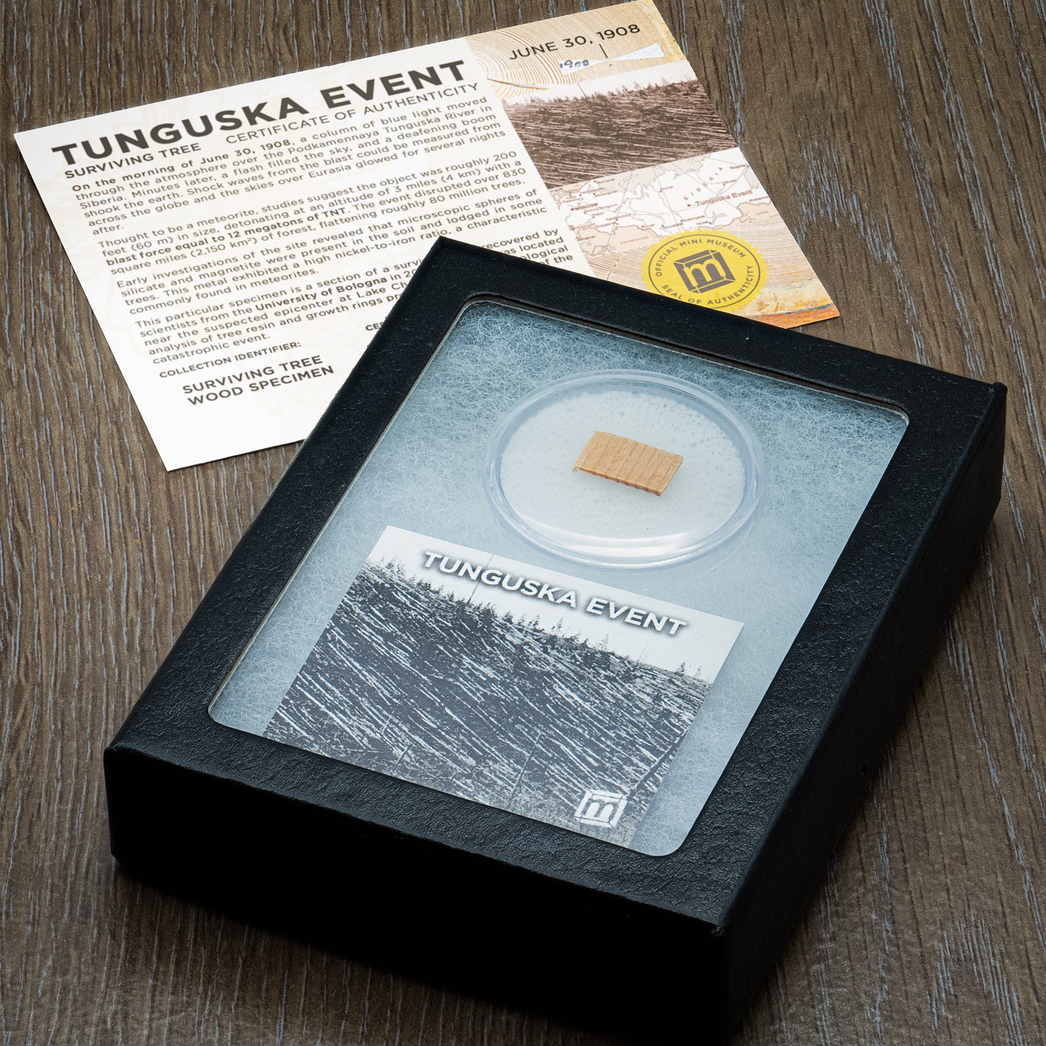 Tunguska Event - Surviving Tree - Image 2