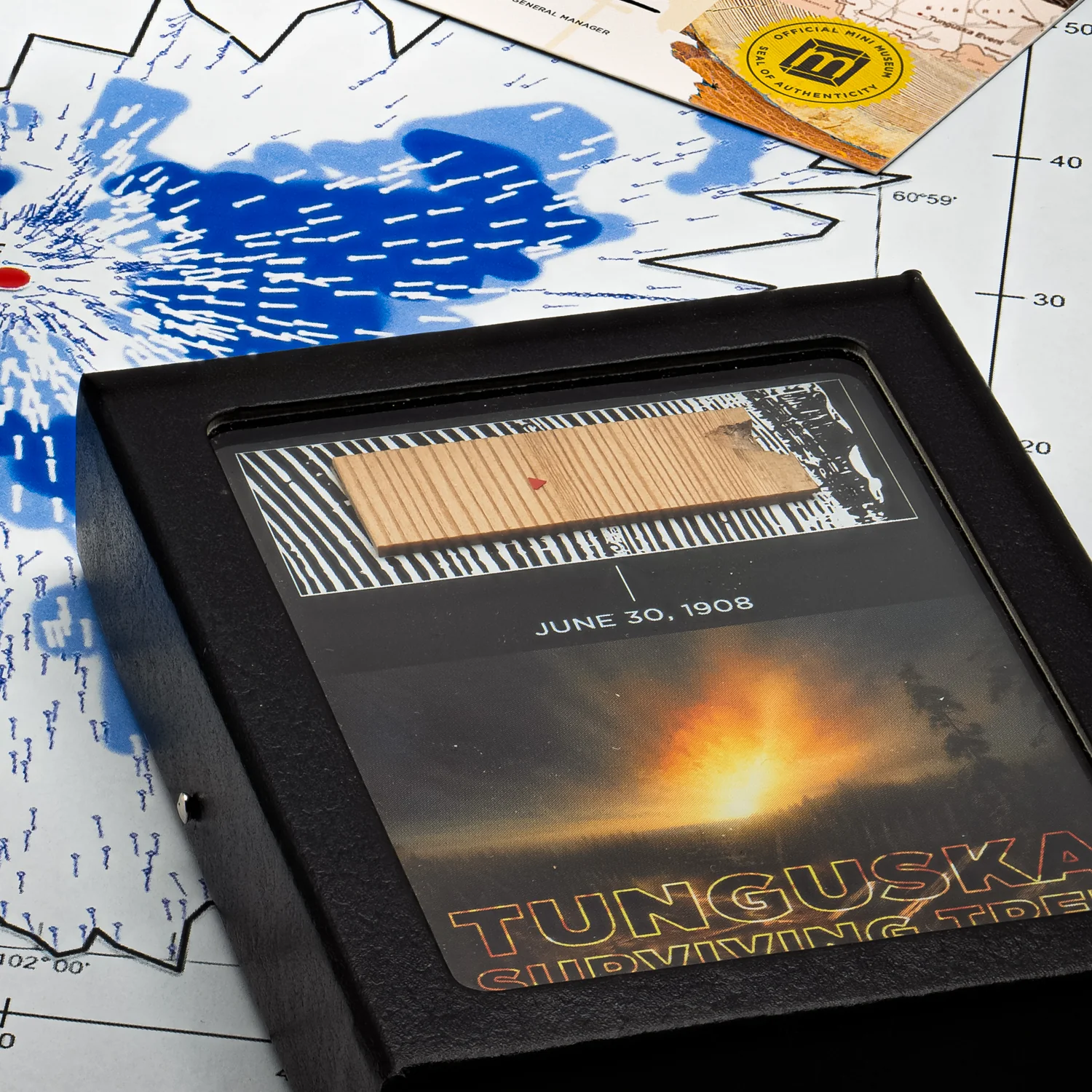 Tunguska Event - Surviving Tree - Image 3