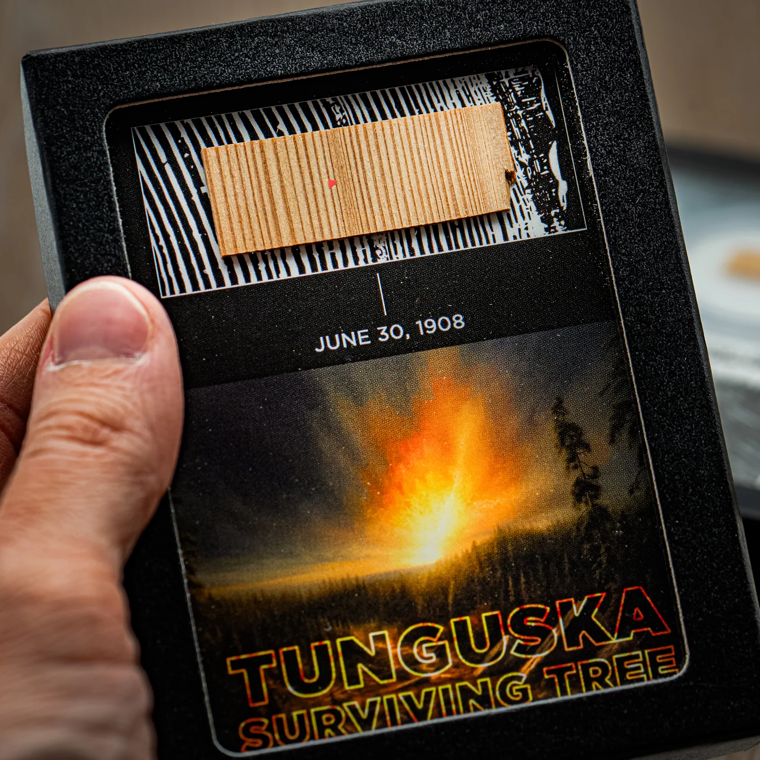 Tunguska Event - Surviving Tree - Image 6