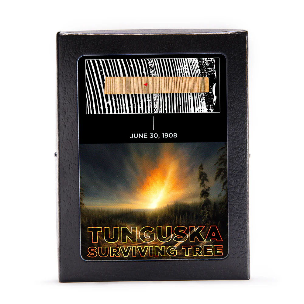 Tunguska Event - Surviving Tree - Image 7