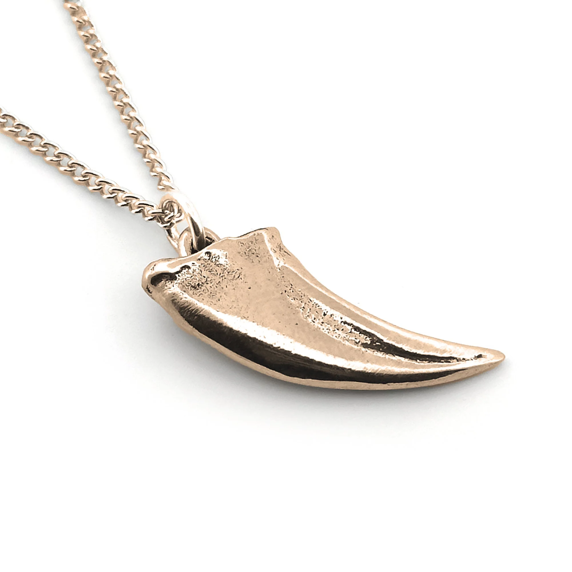 Tyrannosaurus Claw Pendant - Image 2