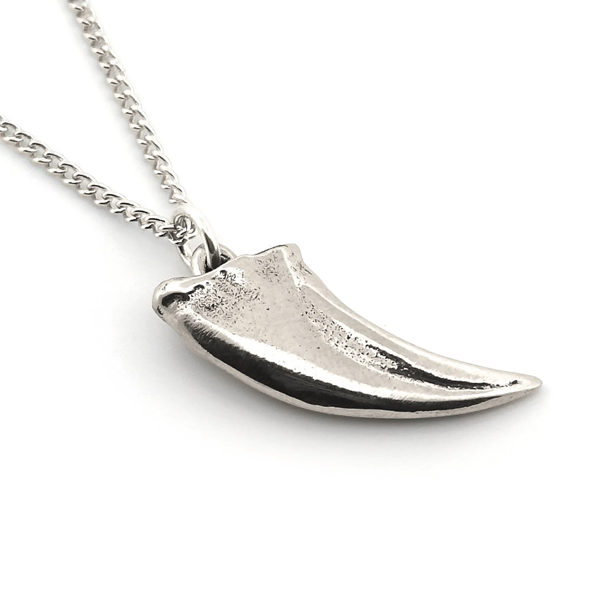 Tyrannosaurus Claw Pendant - Image 3
