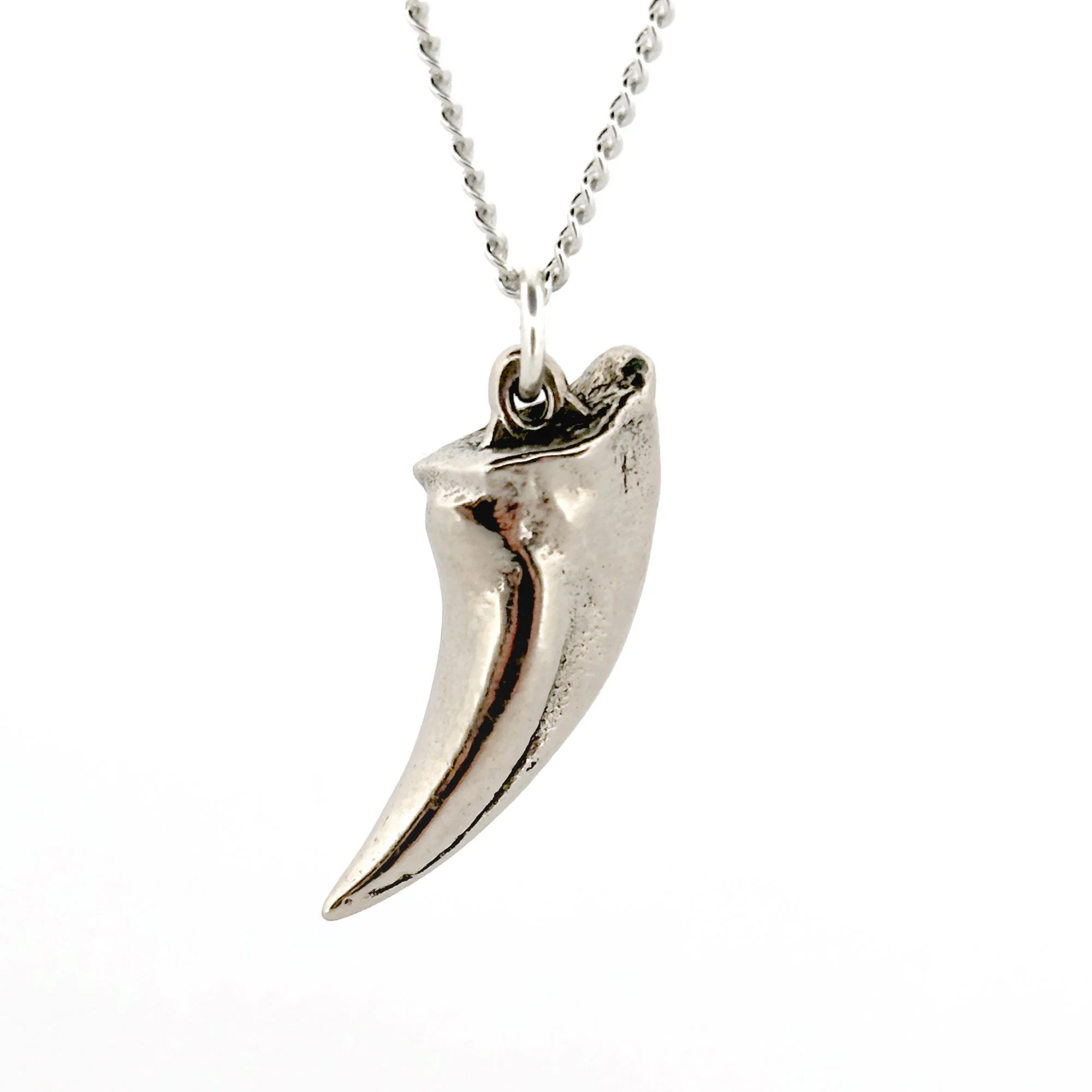Tyrannosaurus Claw Pendant - Image 4
