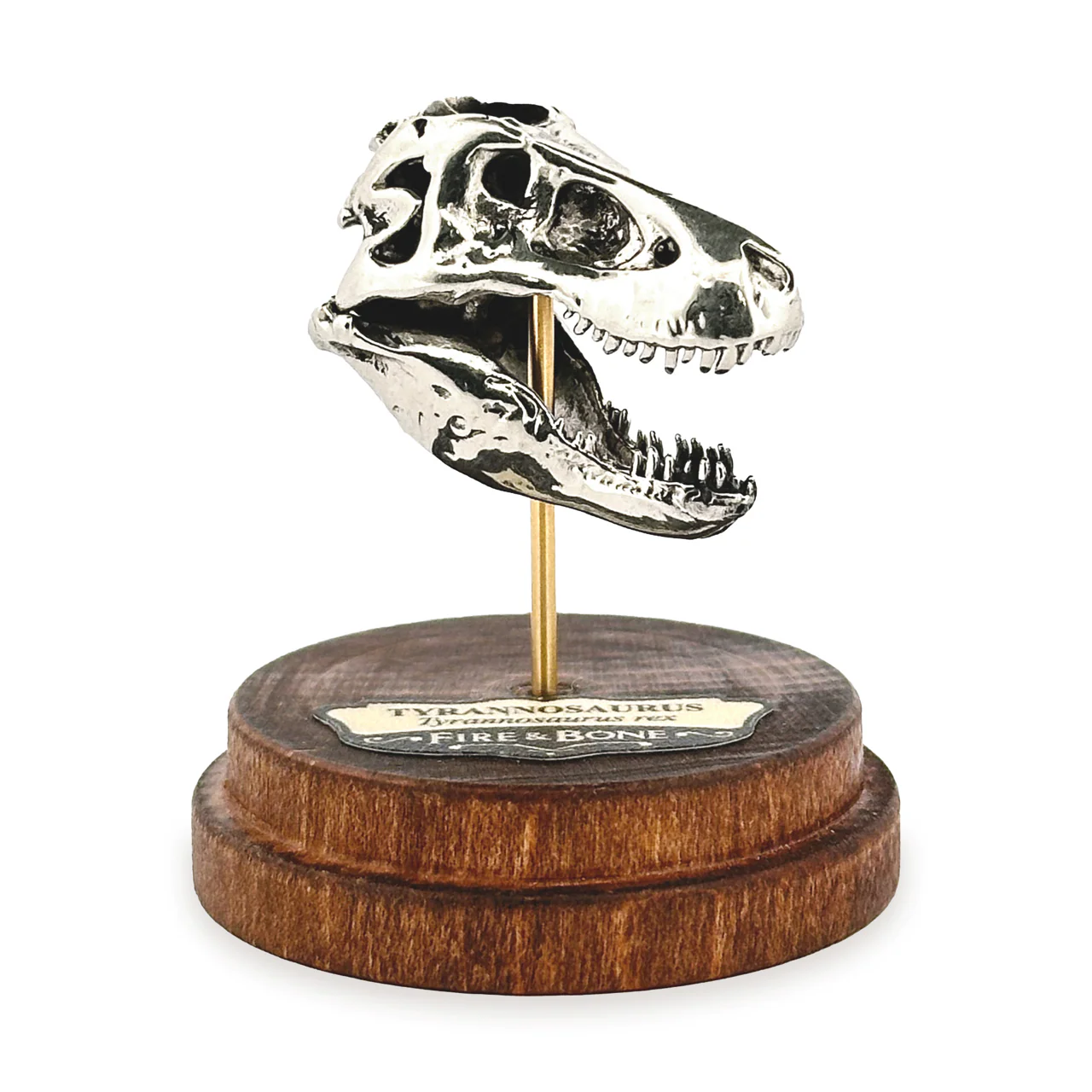 Tyrannosaurus Rex Skull Pendant - Image 5