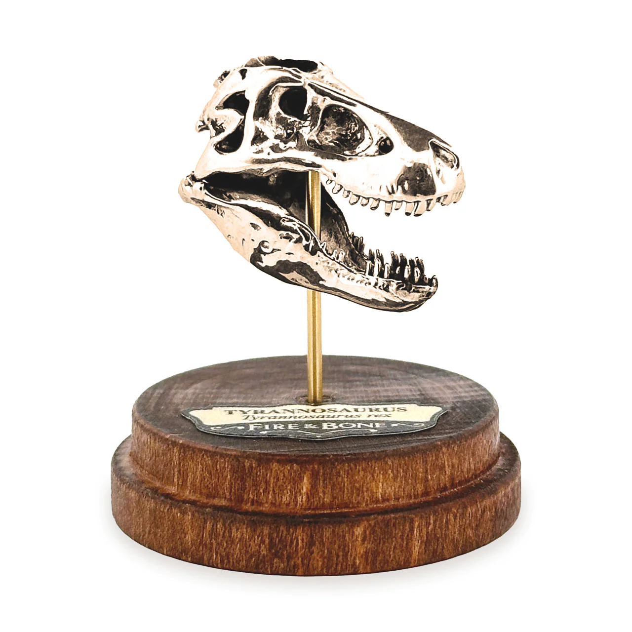 Tyrannosaurus Rex Skull Pendant - Image 6