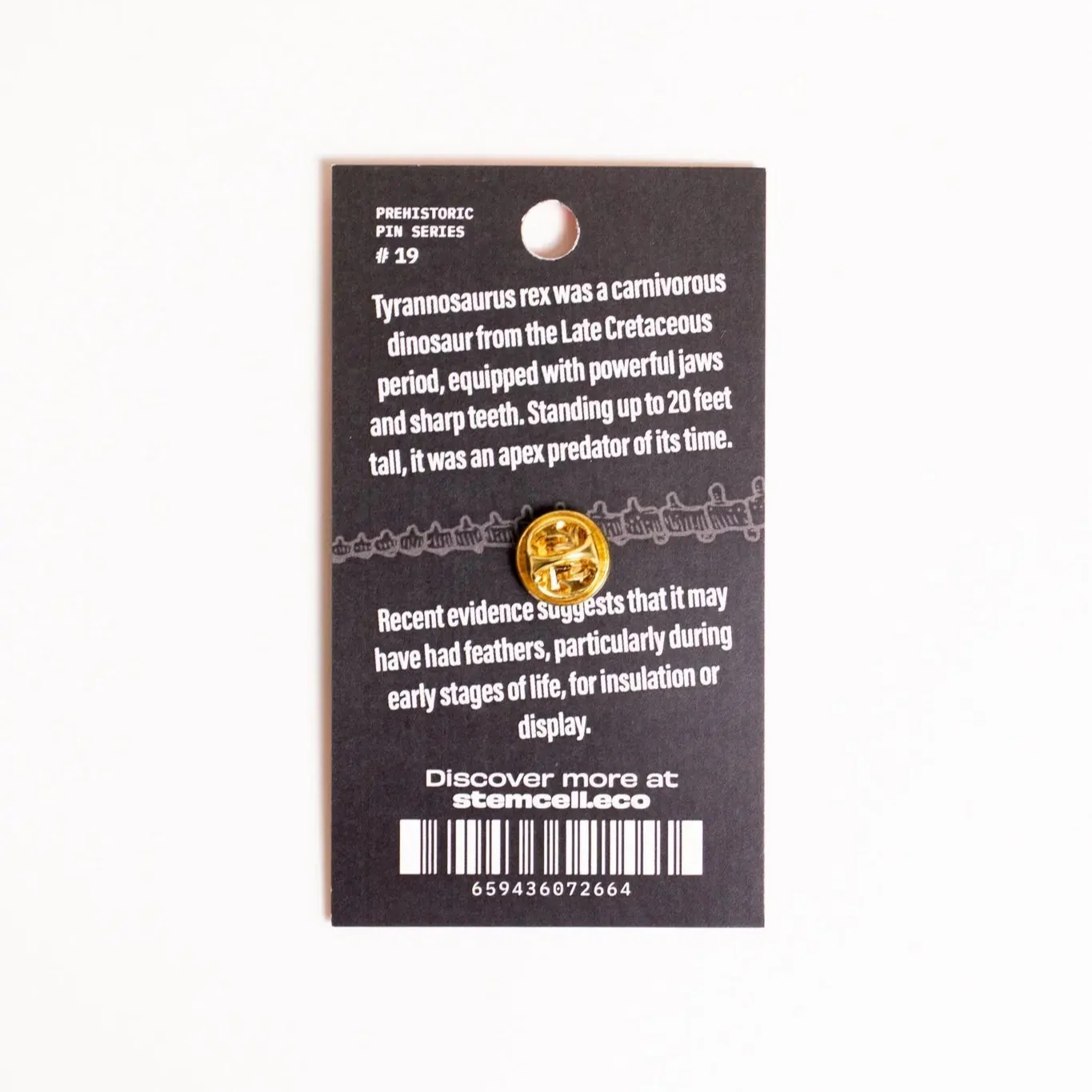 Tyrannosaurus Rex Pin with Feathers - Image 6