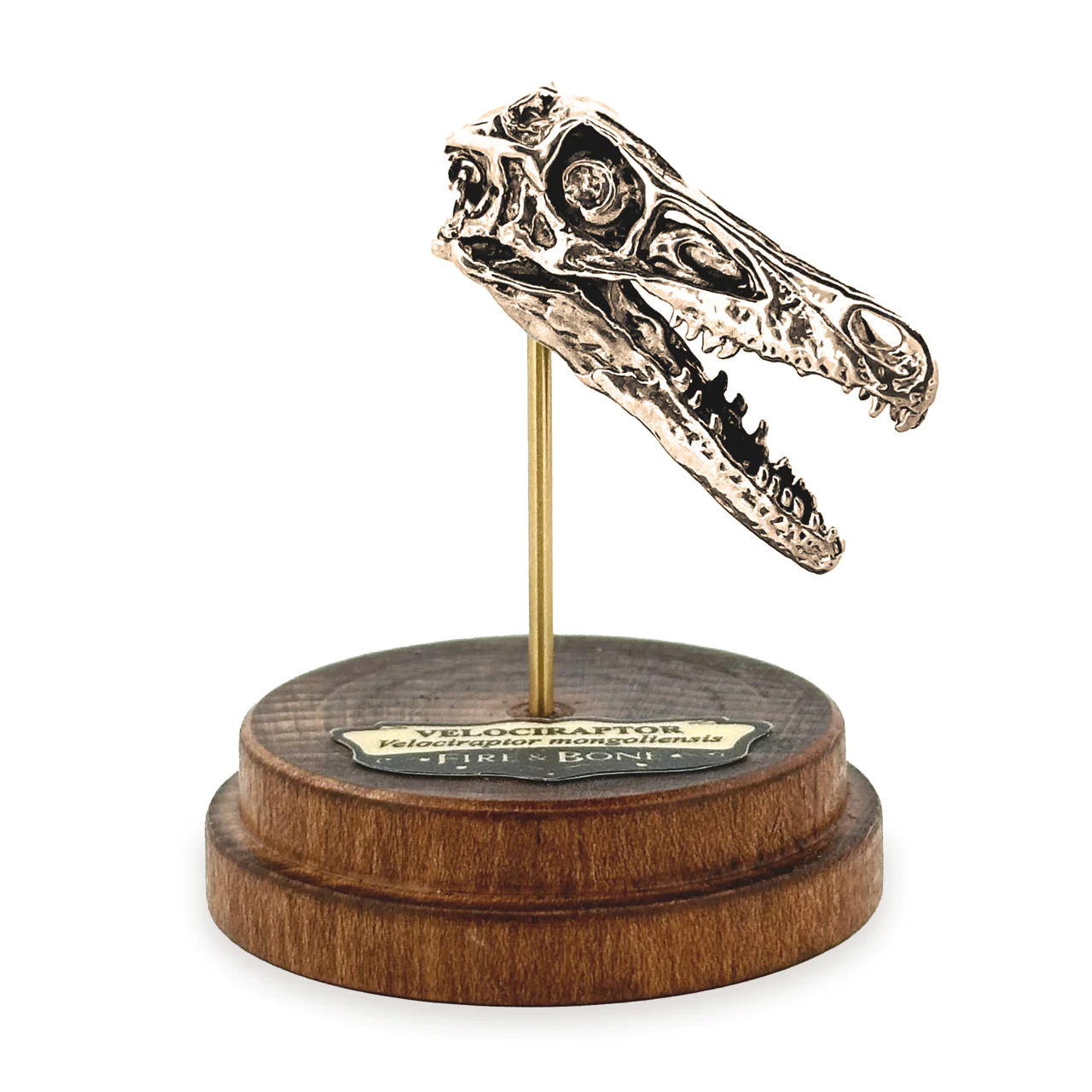 Velociraptor Skull Pendant - Image 5