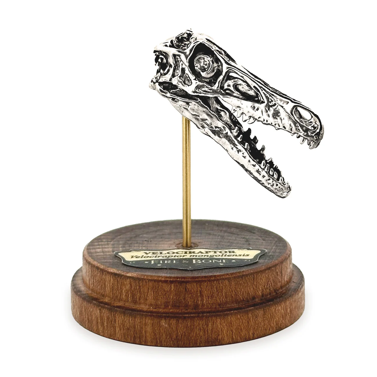 Velociraptor Skull Pendant - Image 6