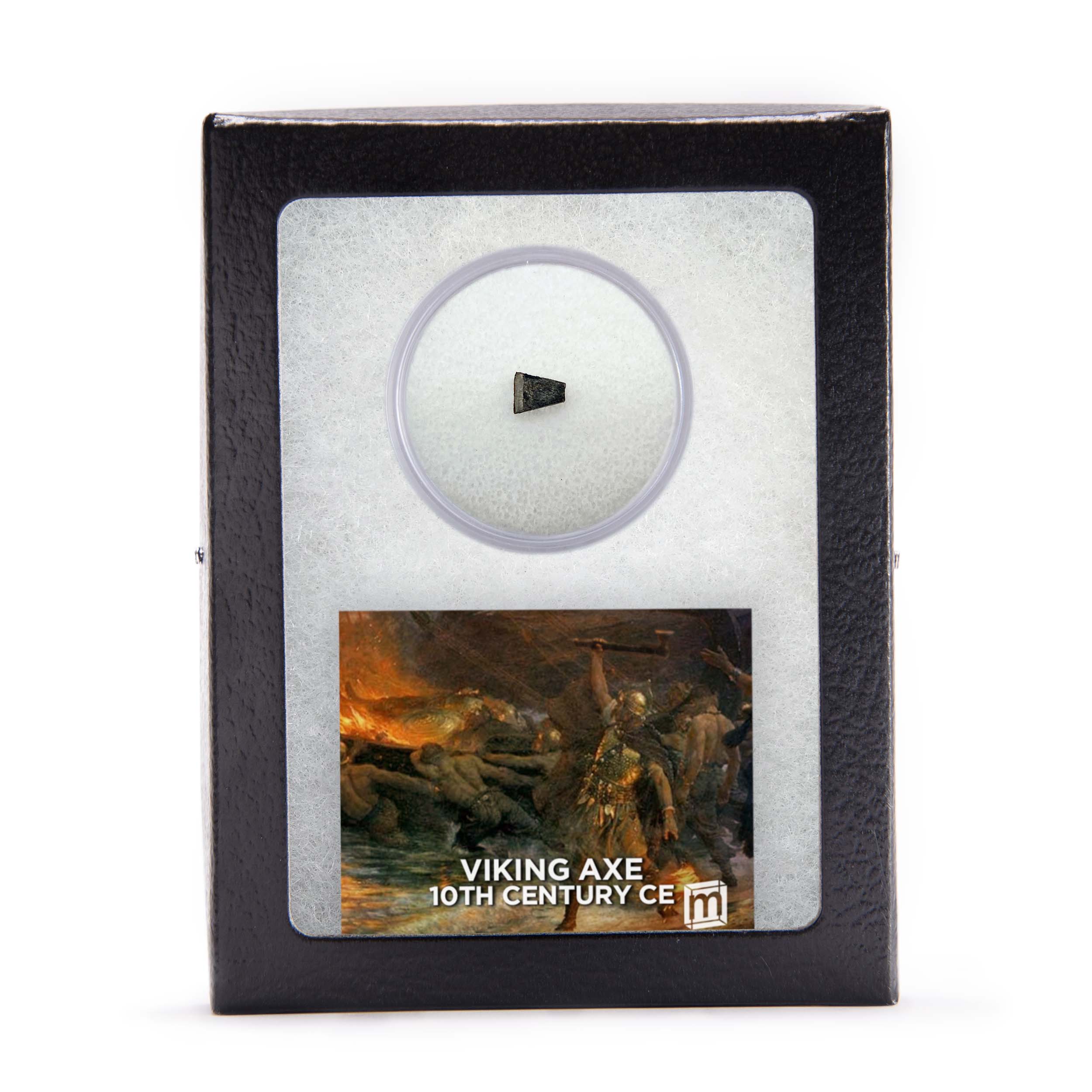 Viking Axe Classic Riker Box Specimen - Image 3